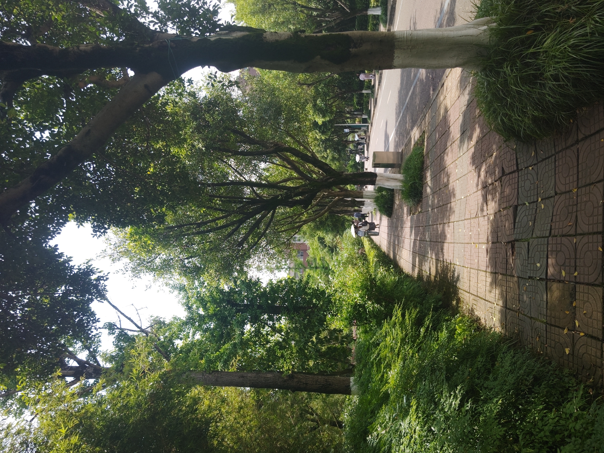 Morning routine captured across Chongqing High-tech Zone campus areas