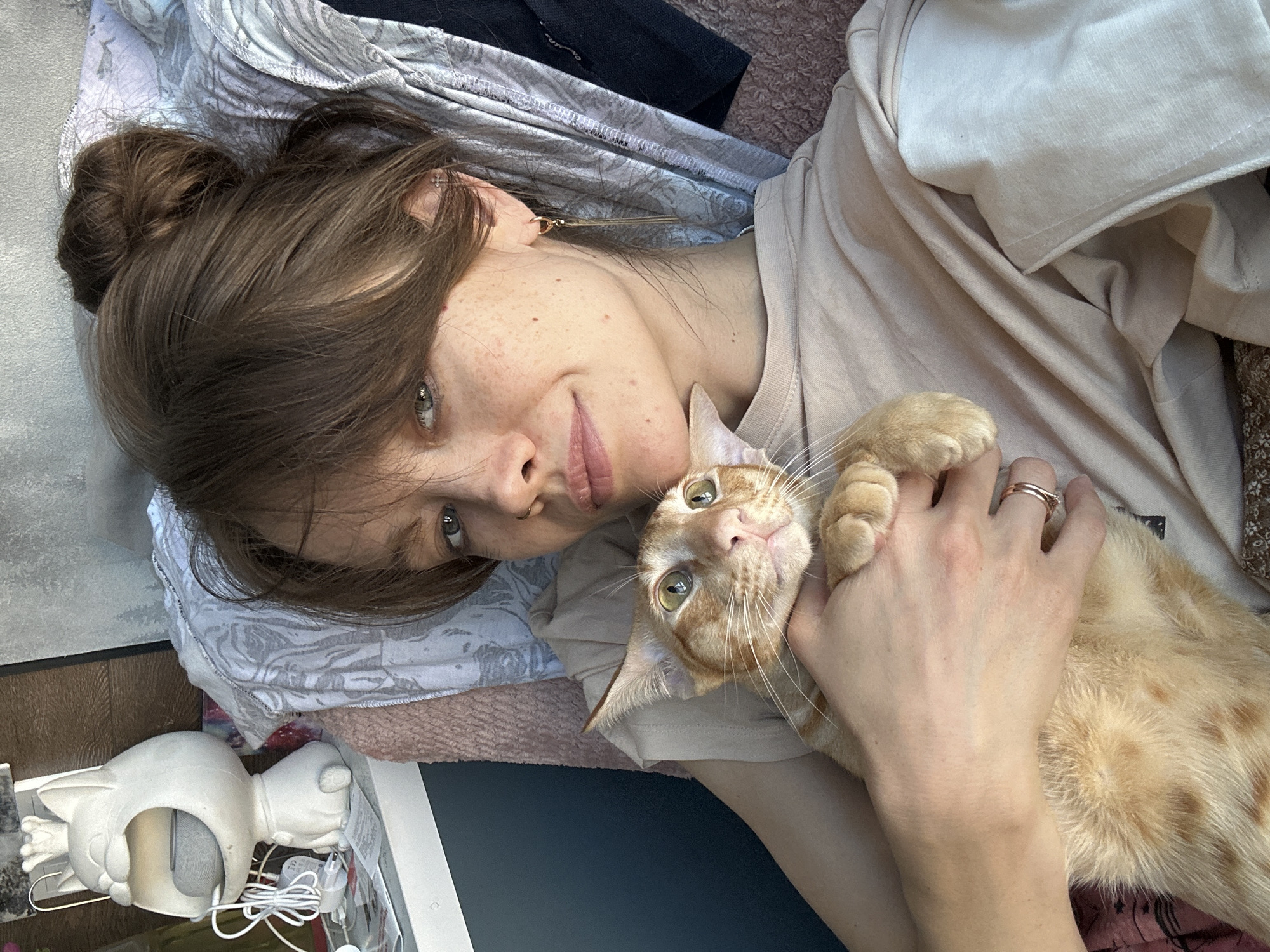 At home with a curious tabby cat and an easel
