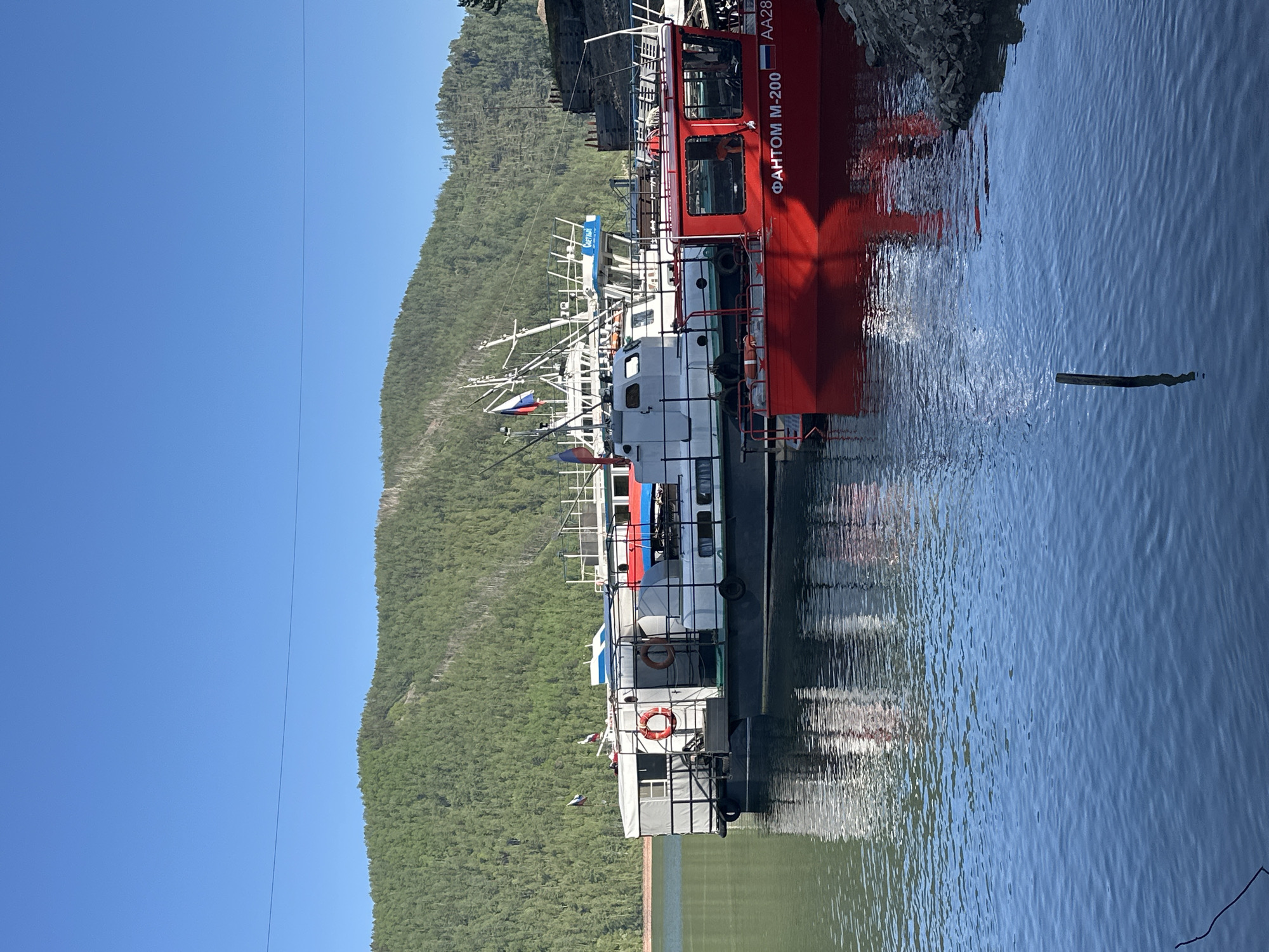 Peaceful morning boating scene captured at forested waterfront location