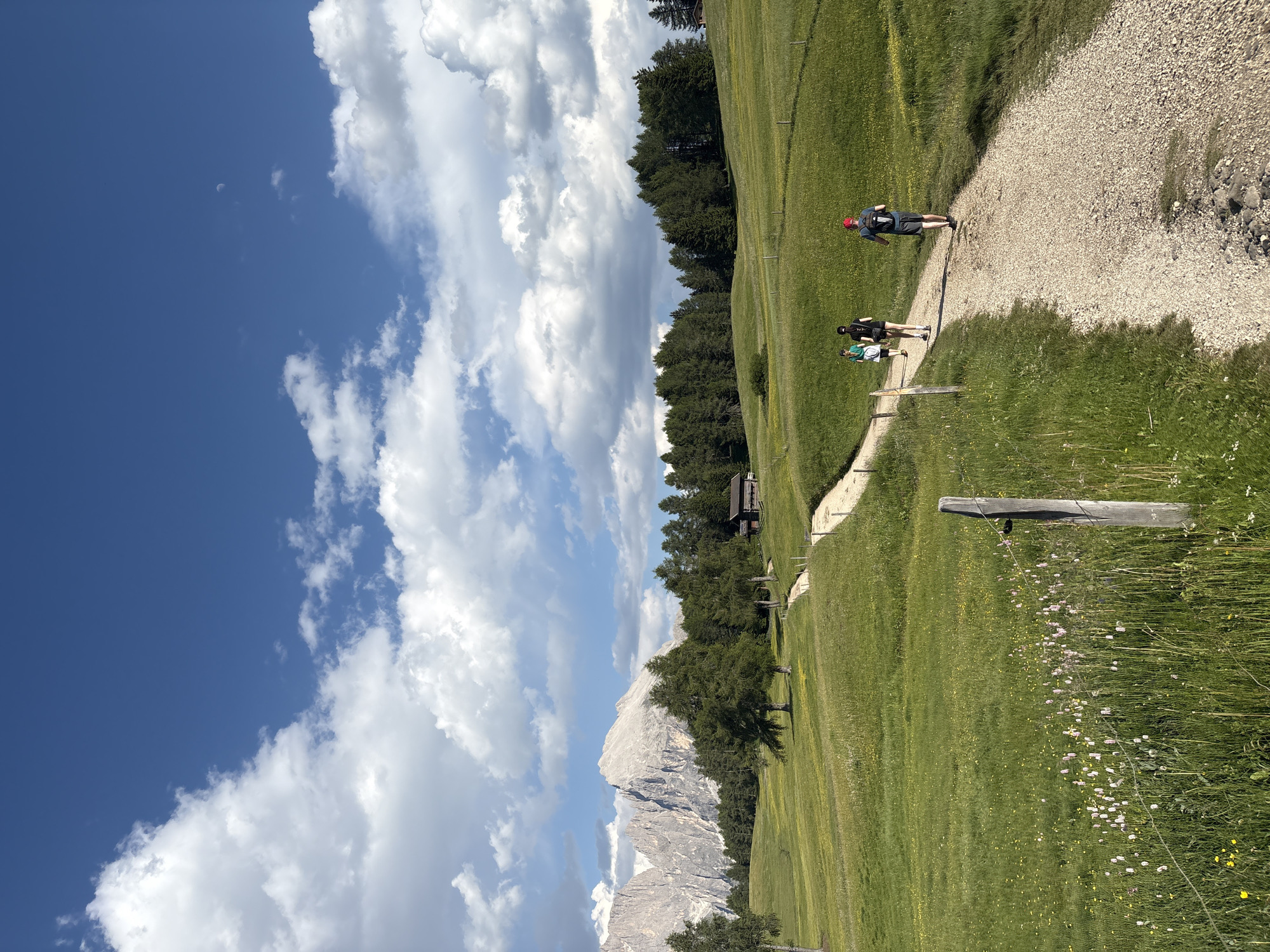 Afternoon exploring a wildflower meadow beneath mountain peaks