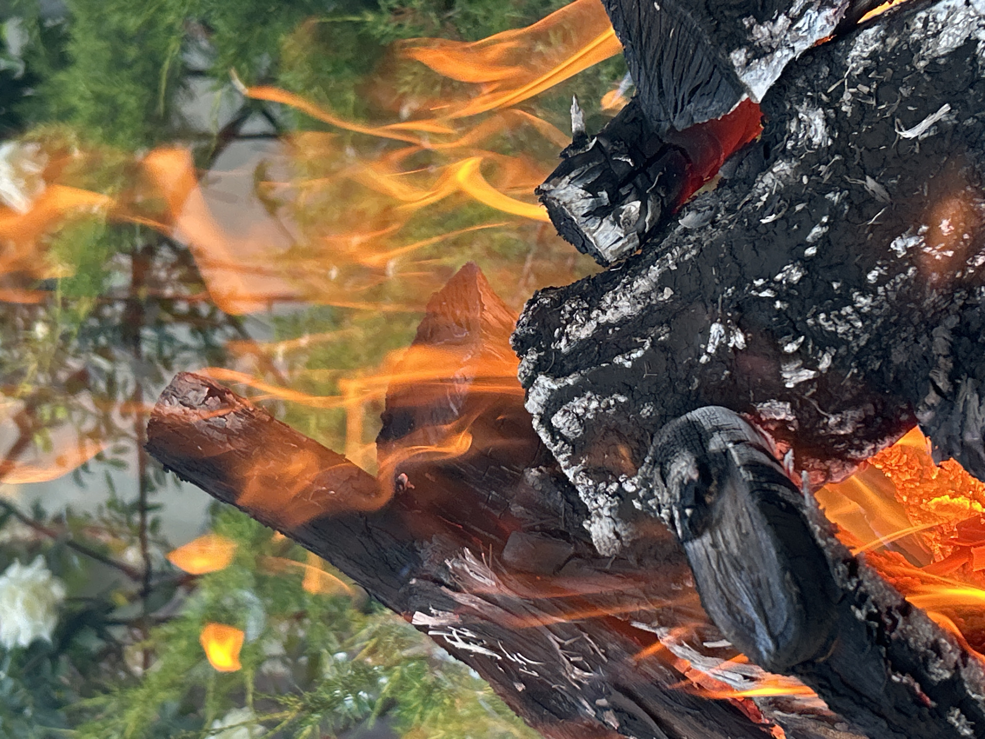 Outdoor gathering features fires, grilled food, music and drinks