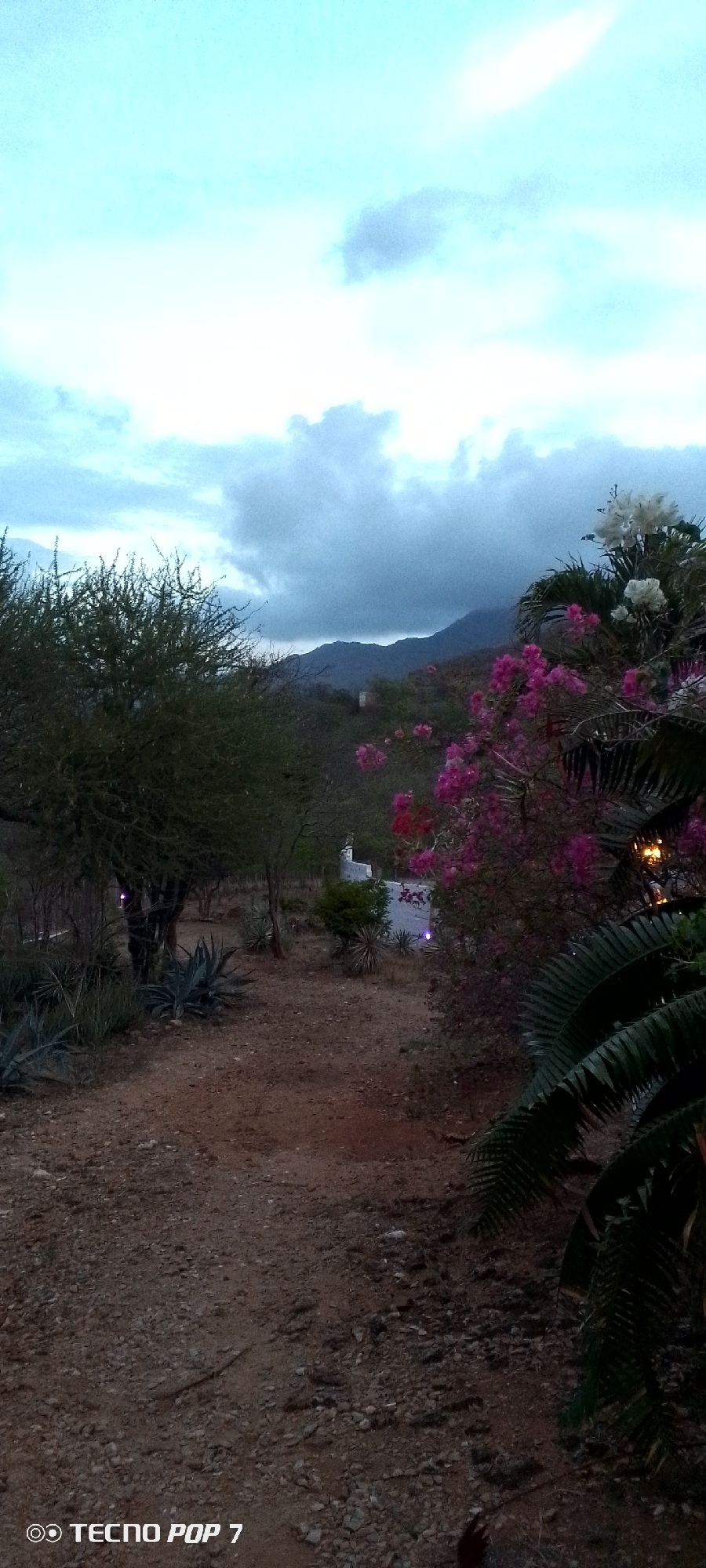 Evening garden and landscape scenes captured in Altagracia, Venezuela