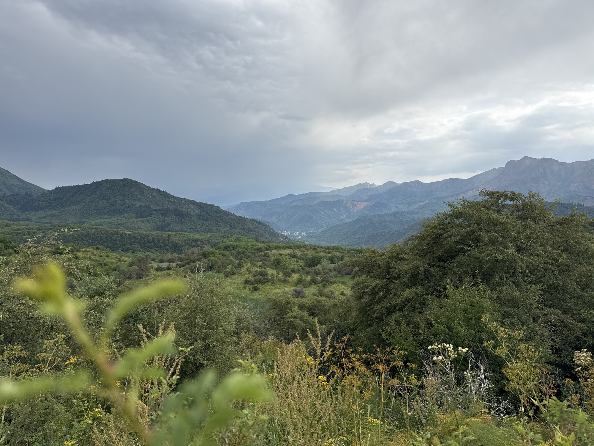 Wildflowers and green hills in Kyrgyzstan's Arkit valley