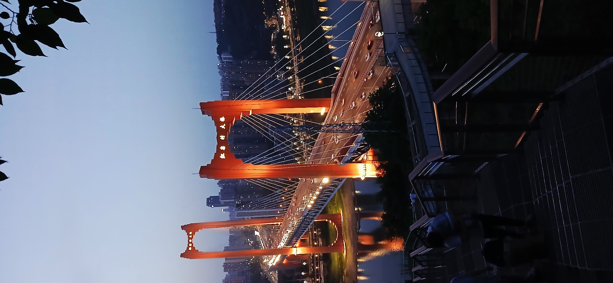 Evening photography session captures illuminated Chongqing cityscape and transport