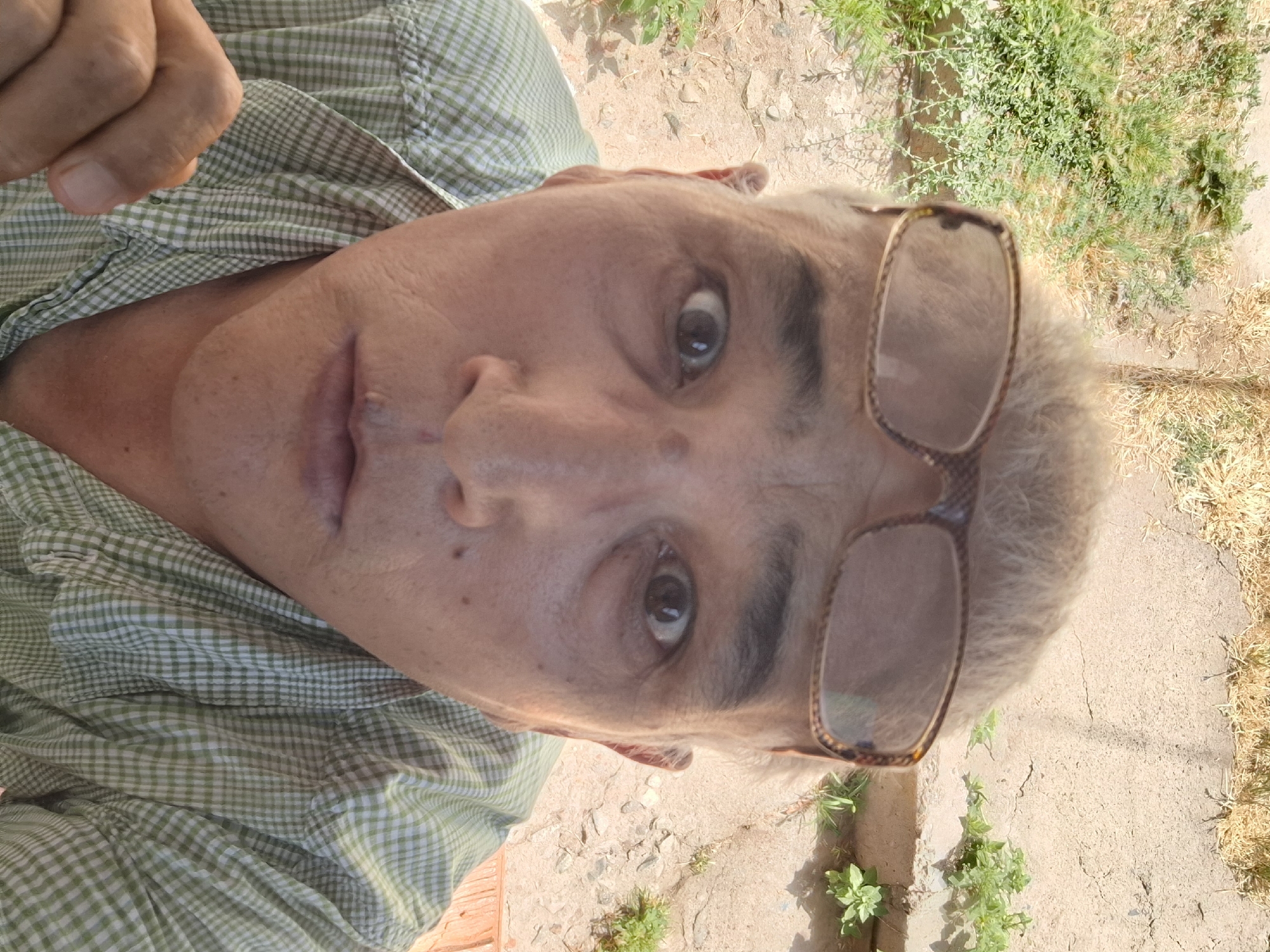 Summer morning in Almaty: garden fruit, selfies, and heat complaints