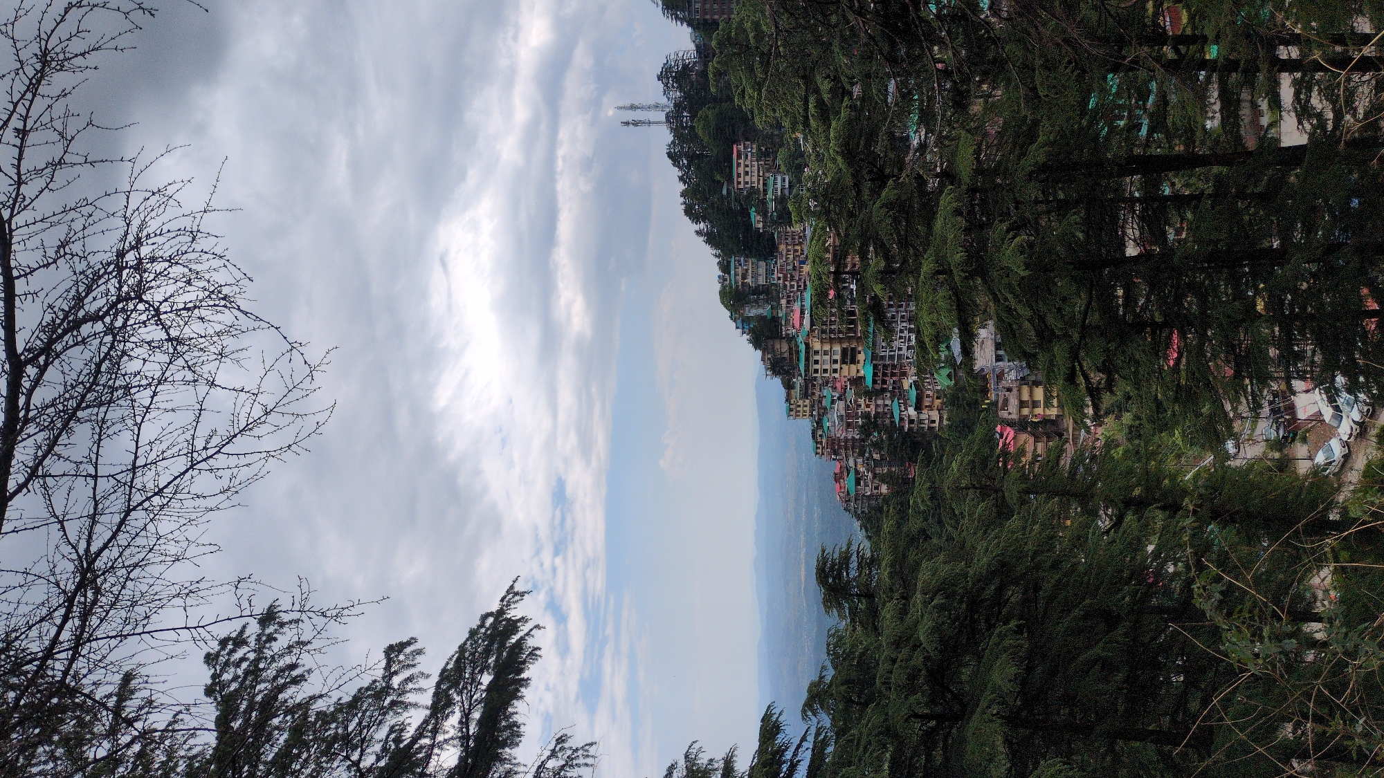 Morning views capture sleeping dog, hillside town in Bhagsu