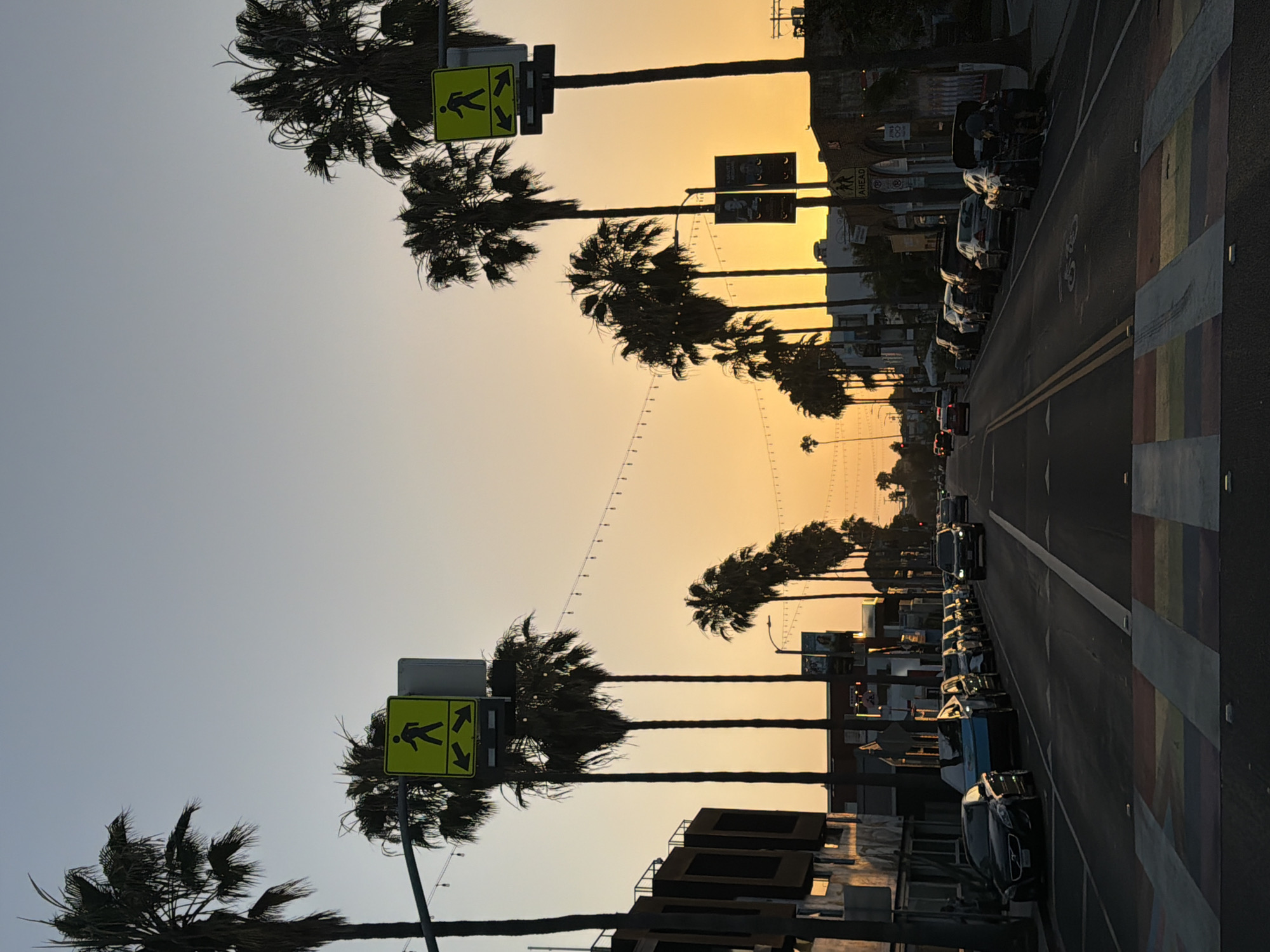 Golden hour street scene captured in Los Angeles