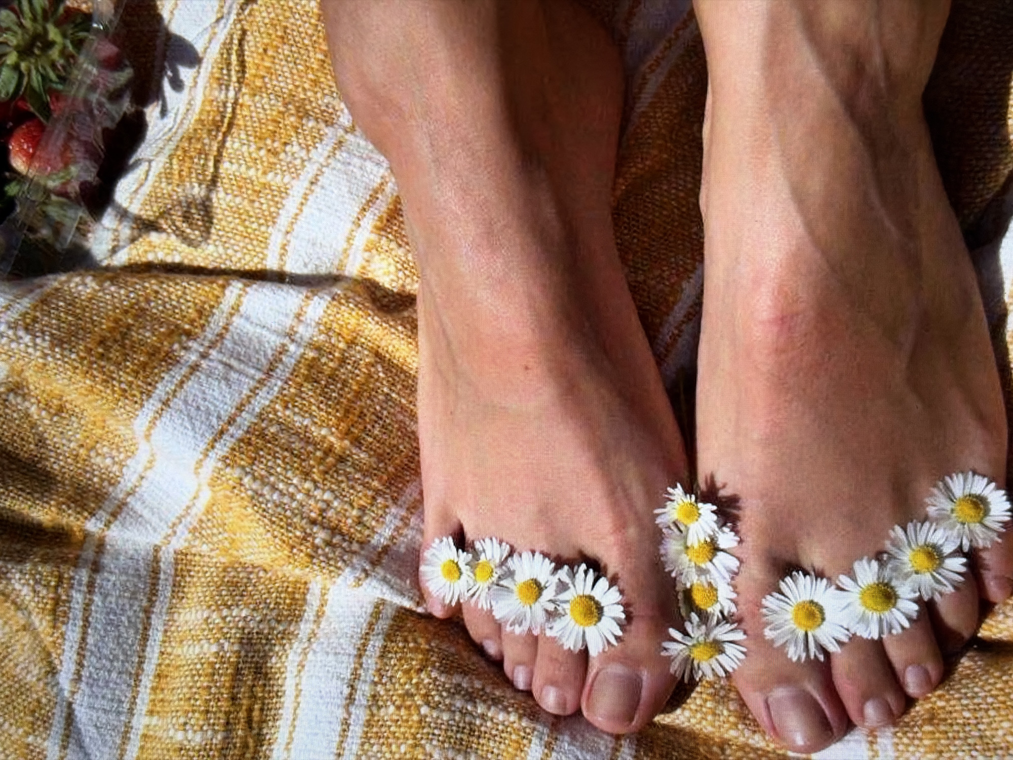 Flowers, fruit, and fabric in a slow summer aesthetic shoot