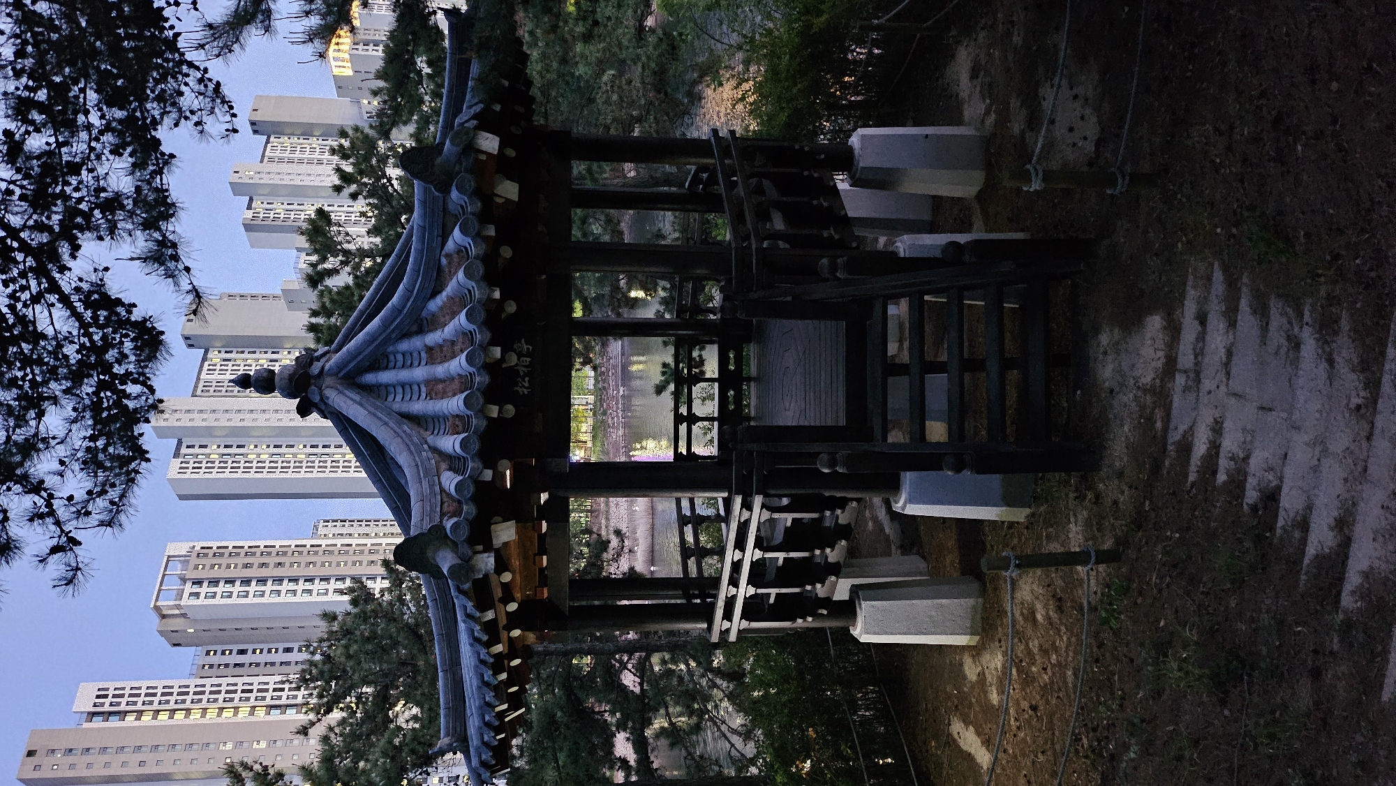 Visitor documents peaceful morning at Ulsan Grand Park pavilions