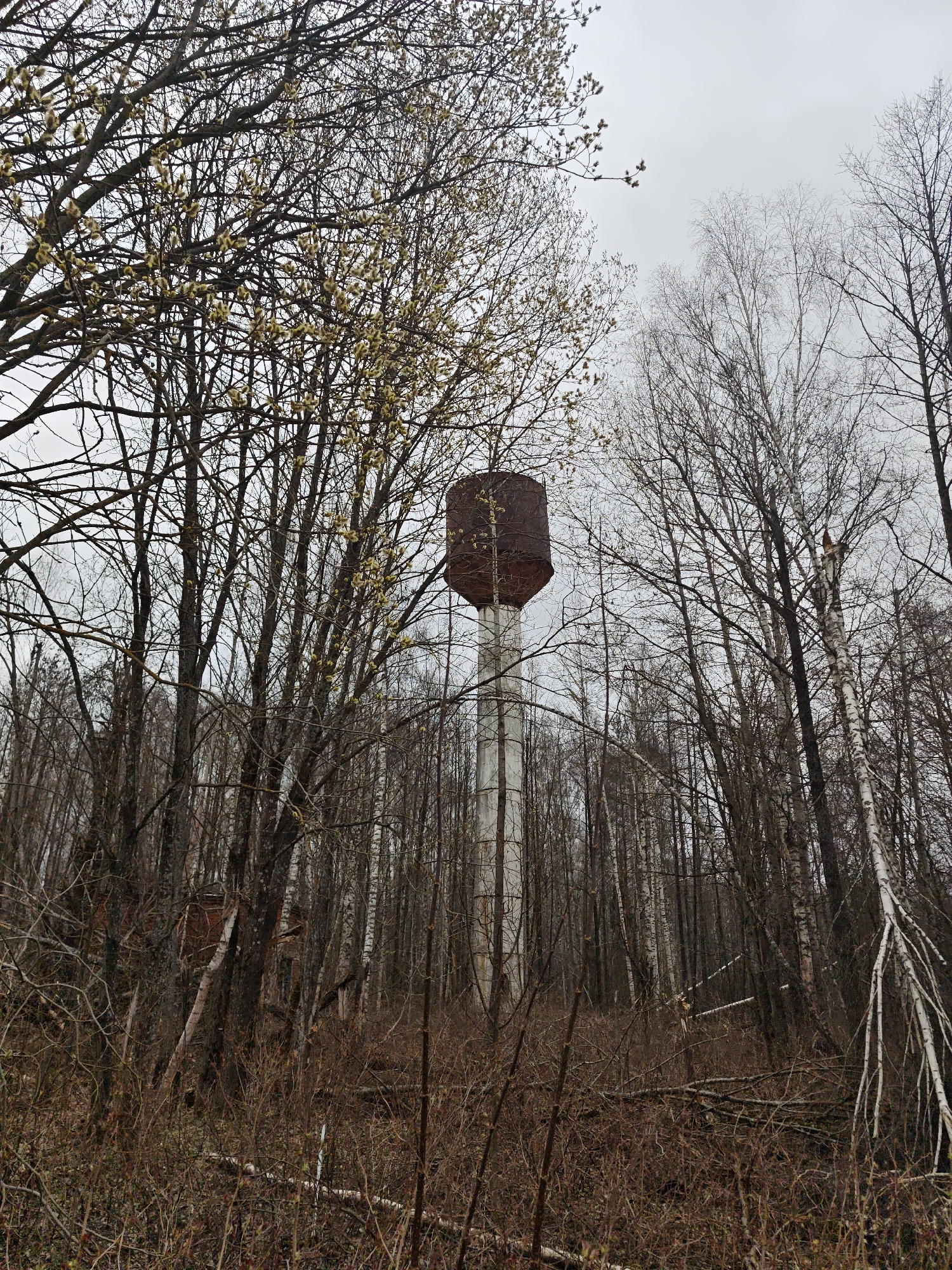 Spring afternoon scenes documented in Nadezhdino, Russia