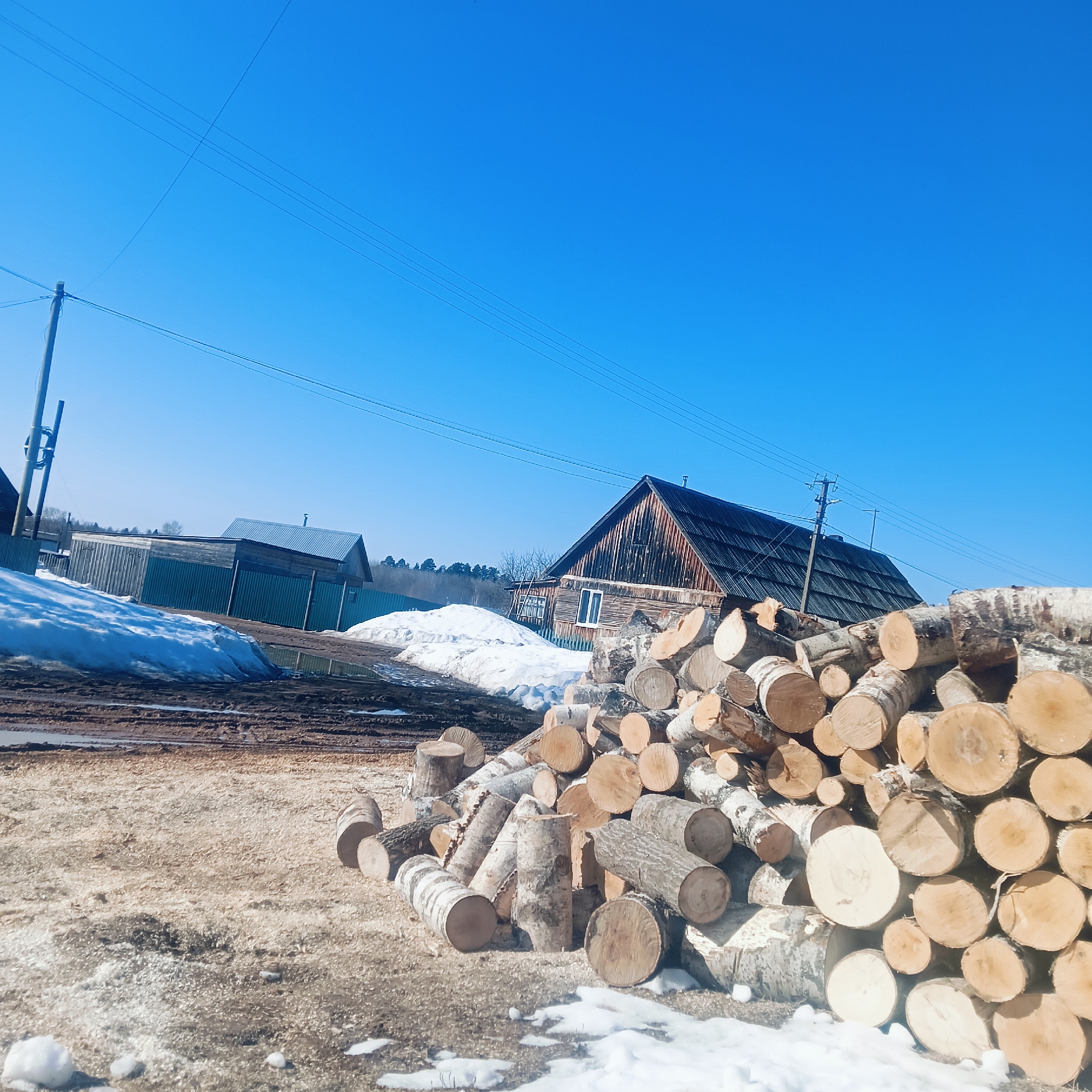 Freshly cut logs pile spotted in rural Burenka, Russia