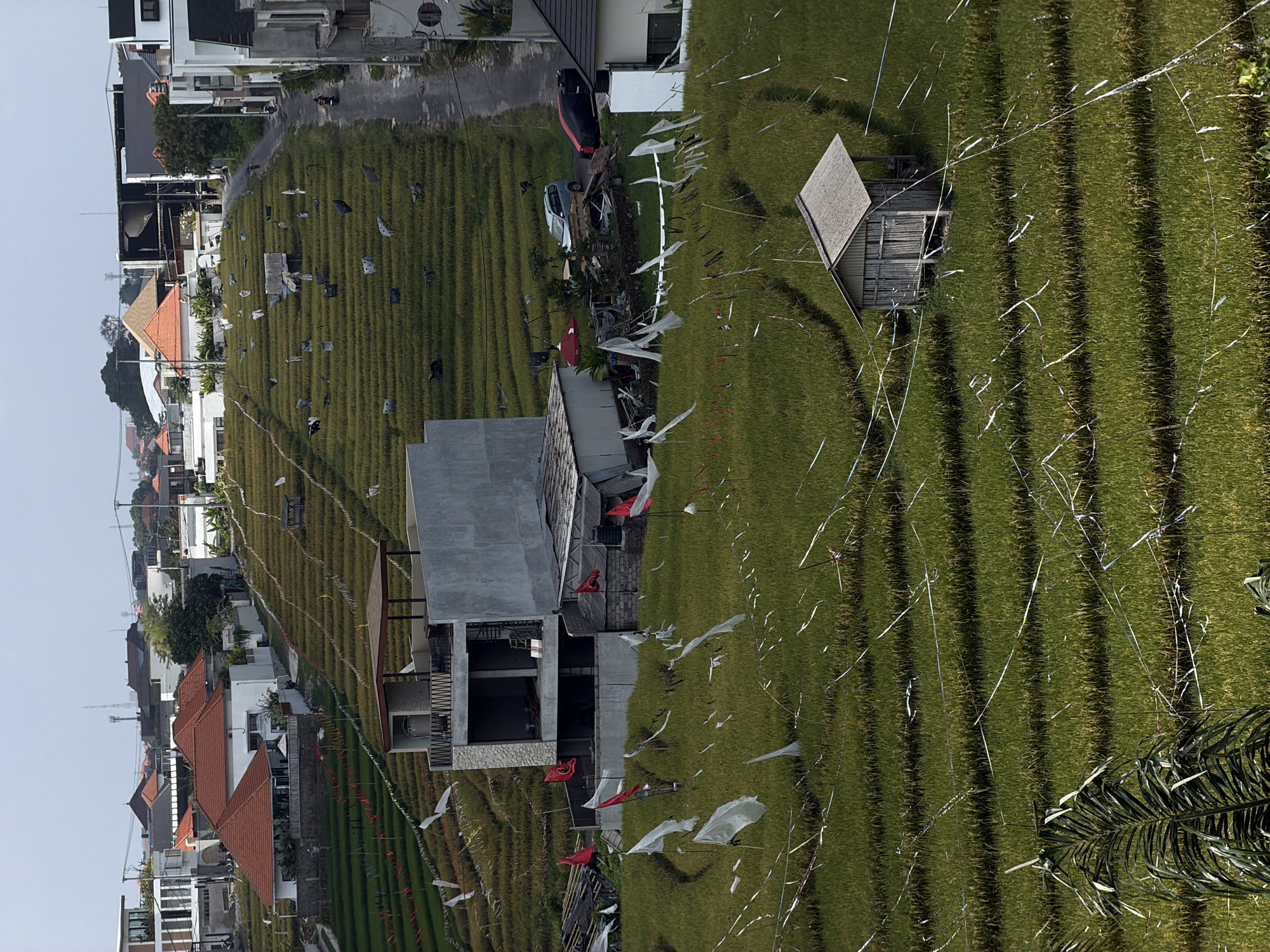 Decorated rice terraces in Mengwi with ceremonial flags and figures