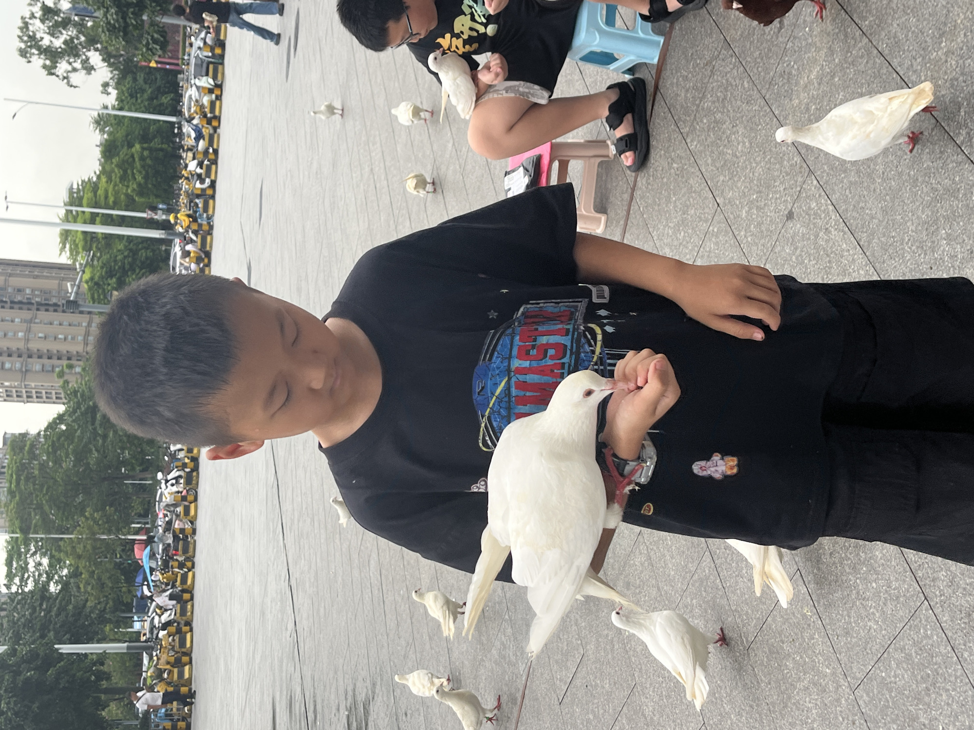 Pigeon feeding and street life at a Chancheng District plaza