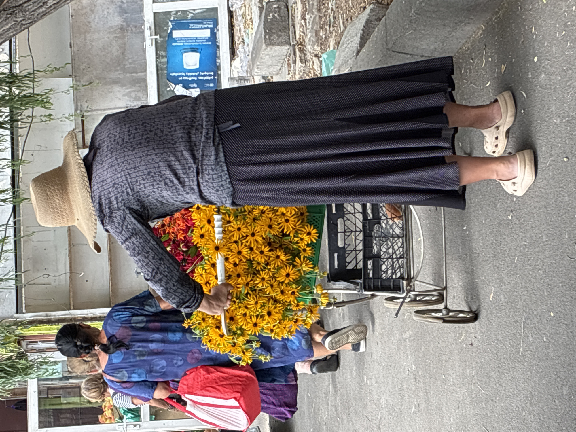 Street life in Tbilisi: a cart vendor and a resting dog