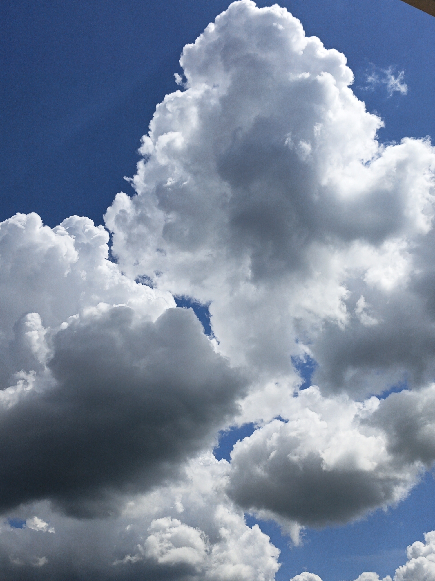 Towering cumulonimbus clouds dominate a deep blue sky
