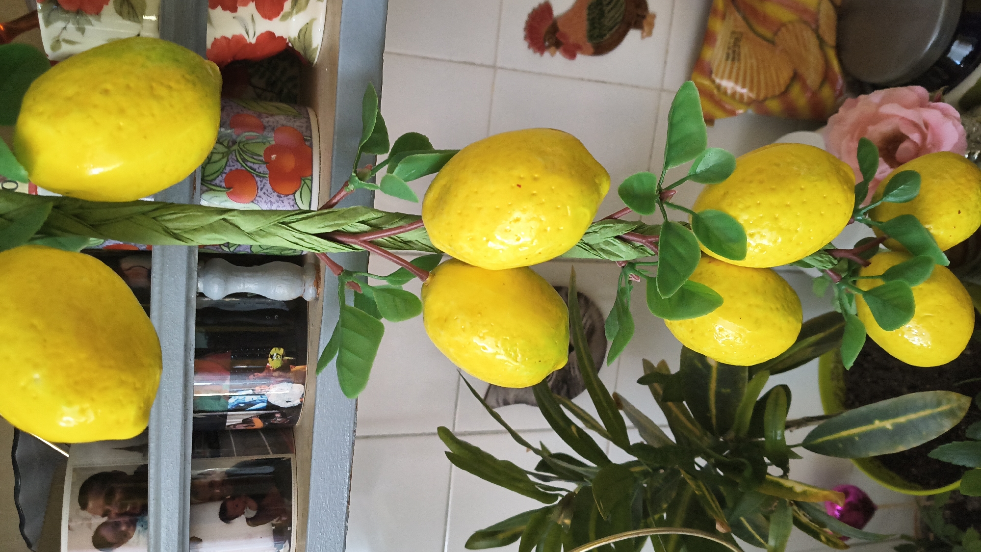 Morning documentation of home decorations and ATM visit in Shumen