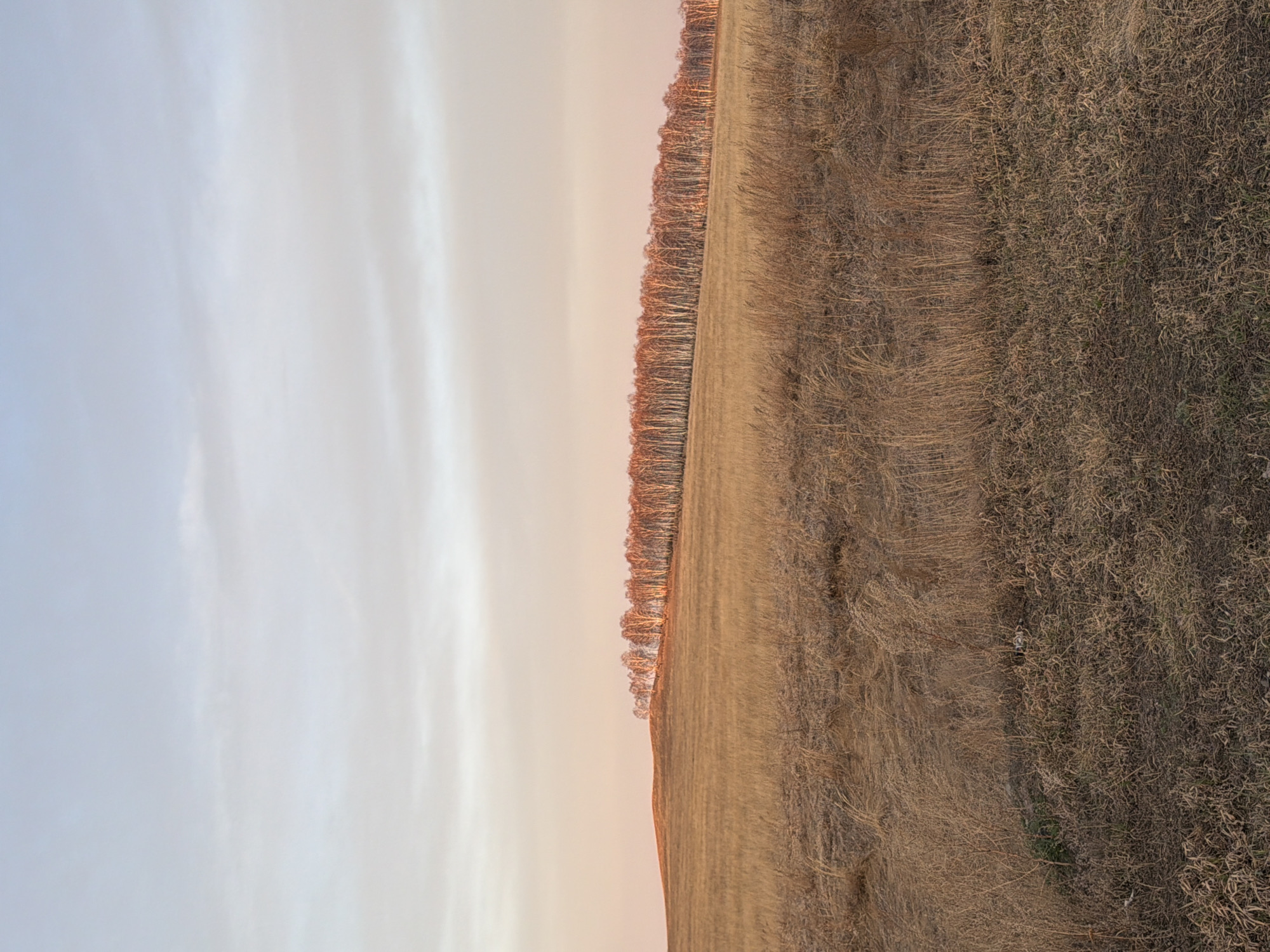 Evening landscape documented in rural Bazandaikha, Russia