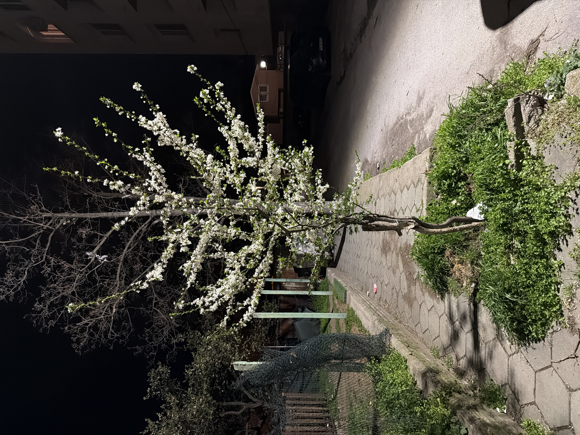 Evening scenes and selfie captured in Pazardzhik, Bulgaria