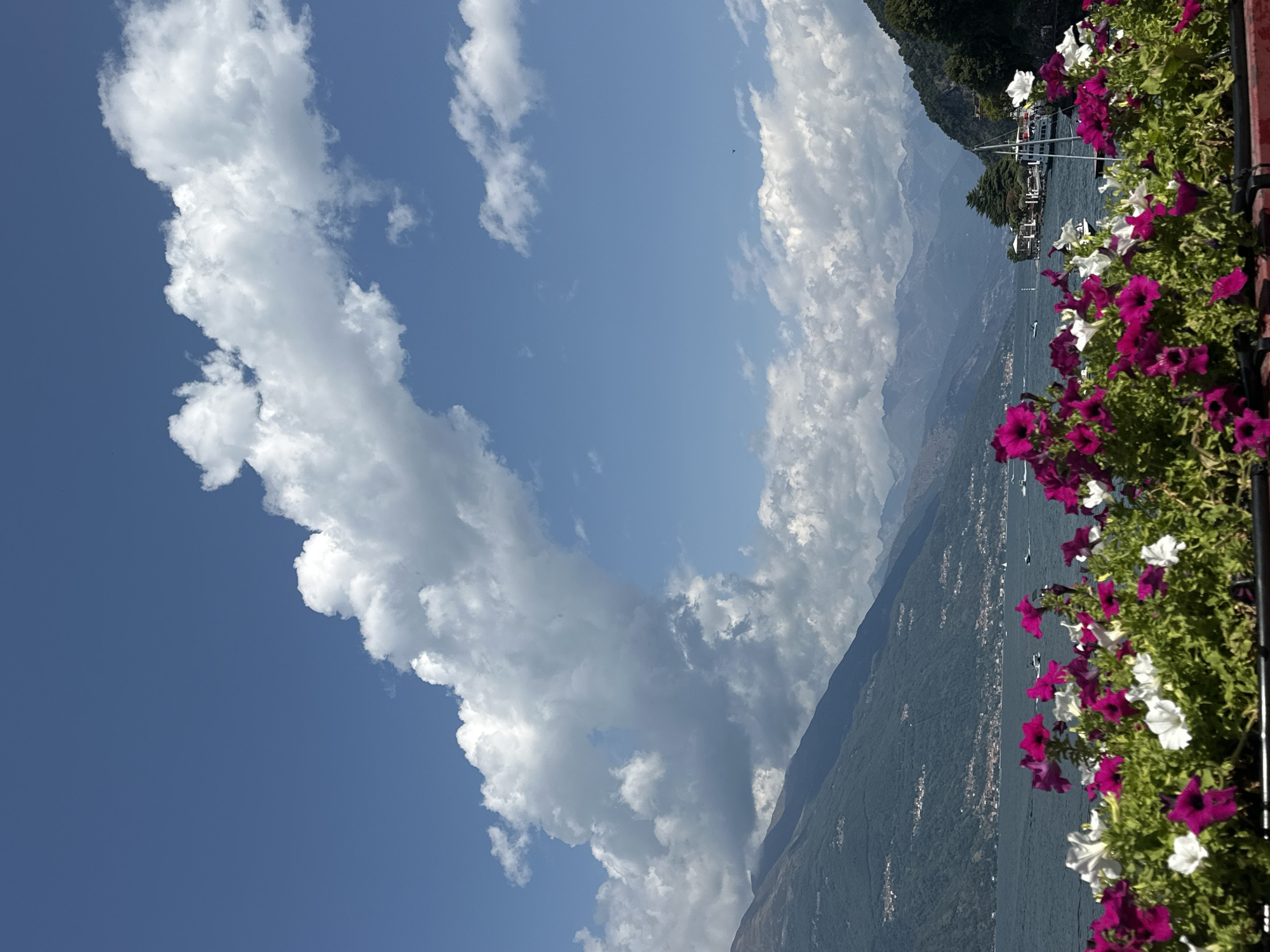 Petunias and Lake Como from Varenna's waterfront