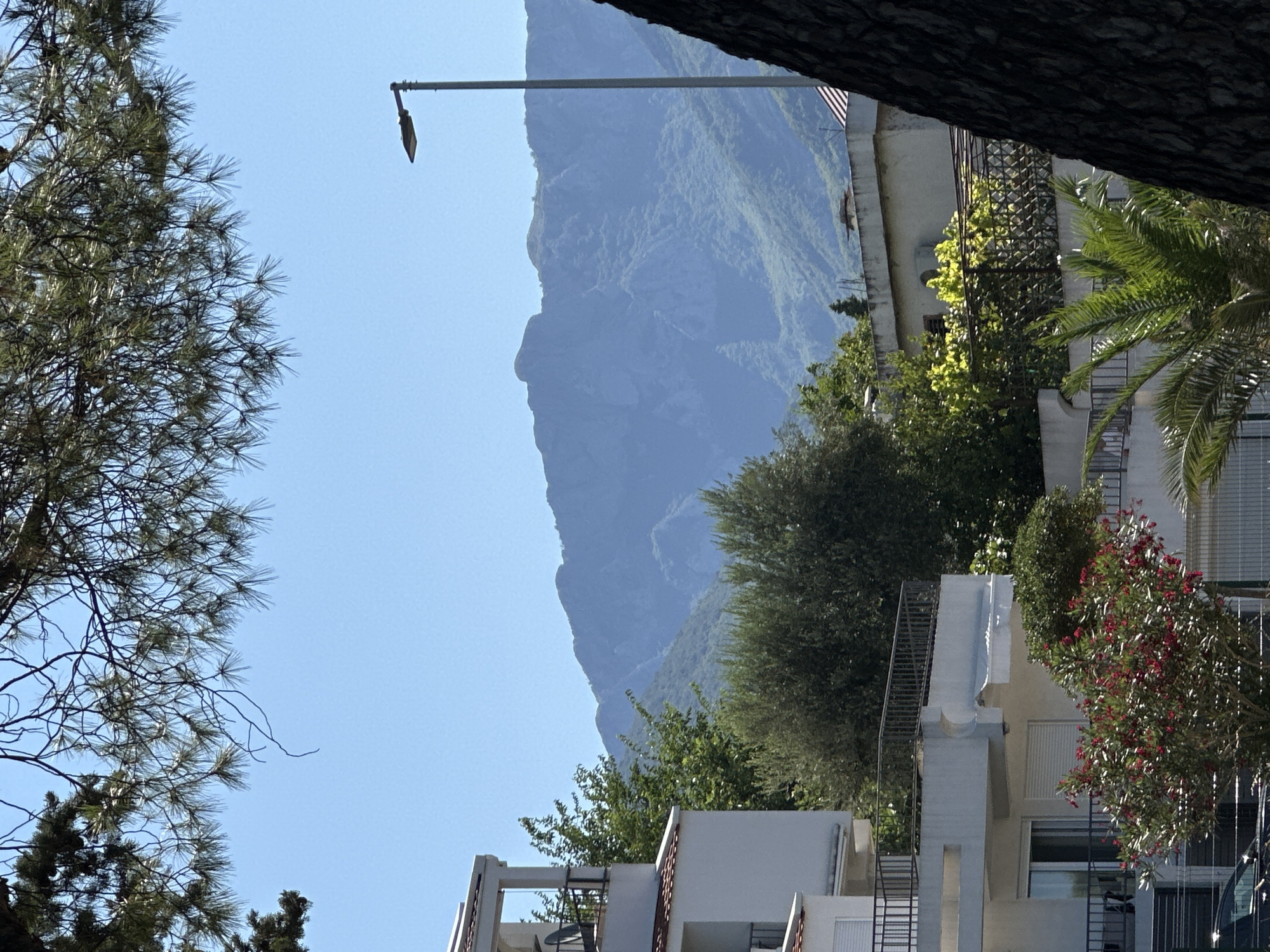 Coastal morning in Šušanj with pets, coffee, and sea views