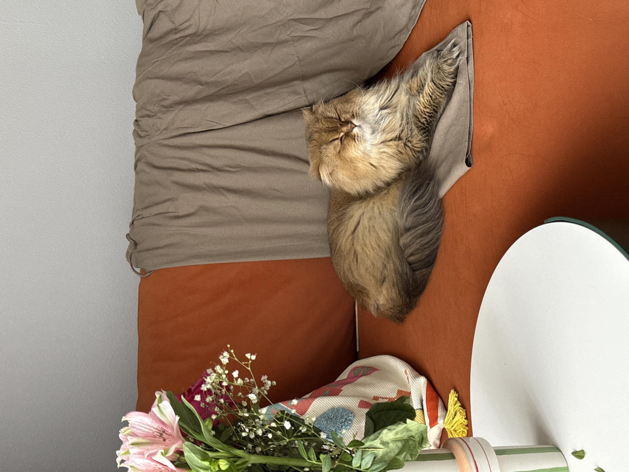 Cat rests on couch with flowers in indoor setting