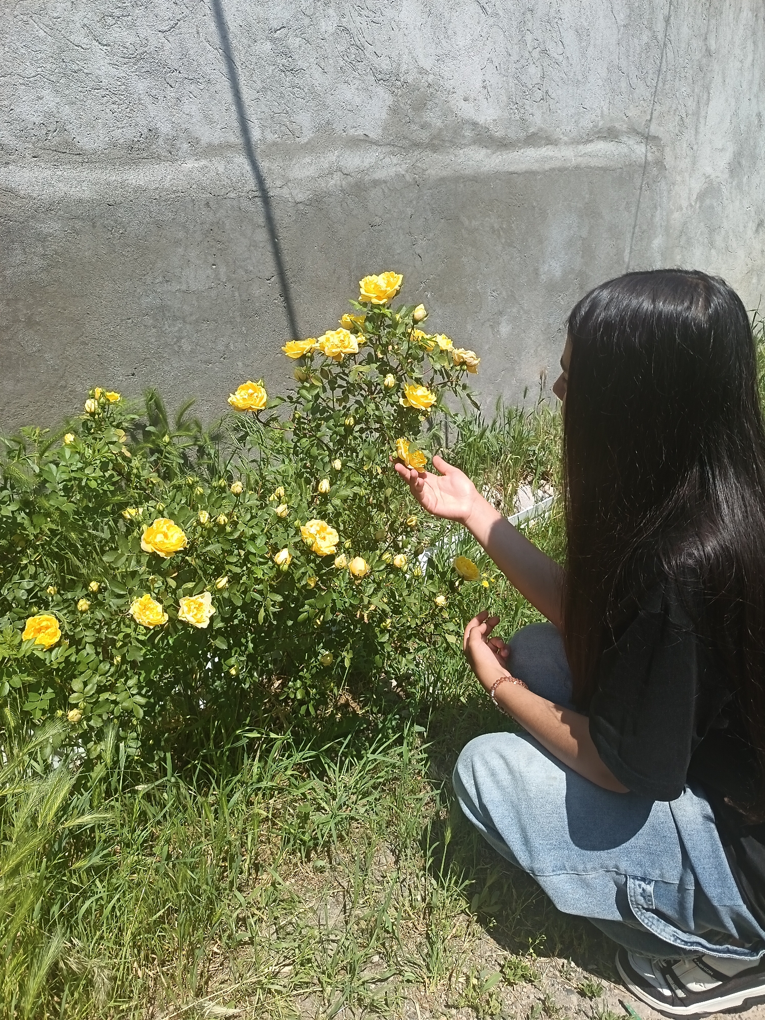 Woman enjoys quiet morning among roses, books, and neighborhood scenery