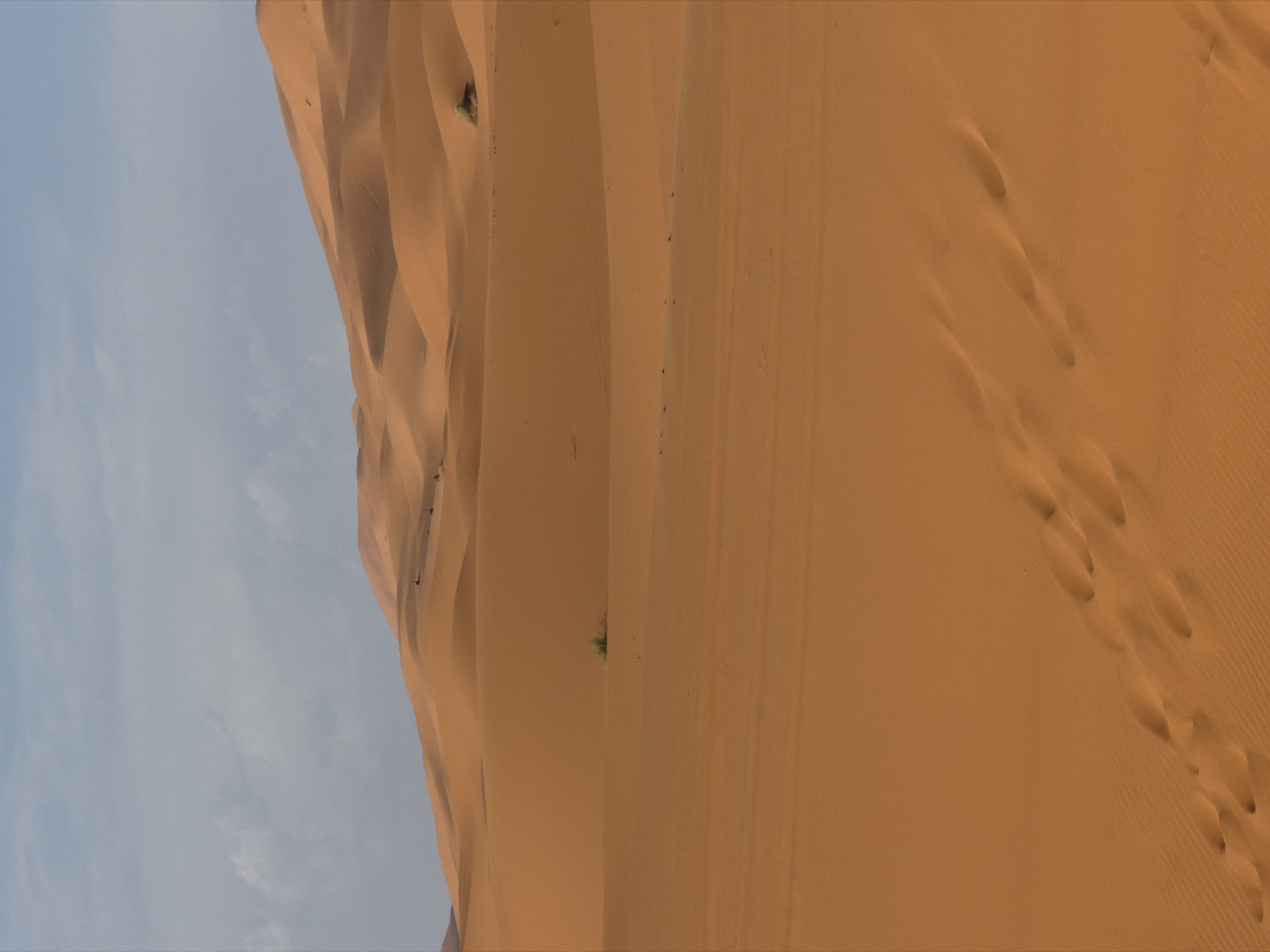 Camel rider traverses sand dunes in Et-taous, Morocco