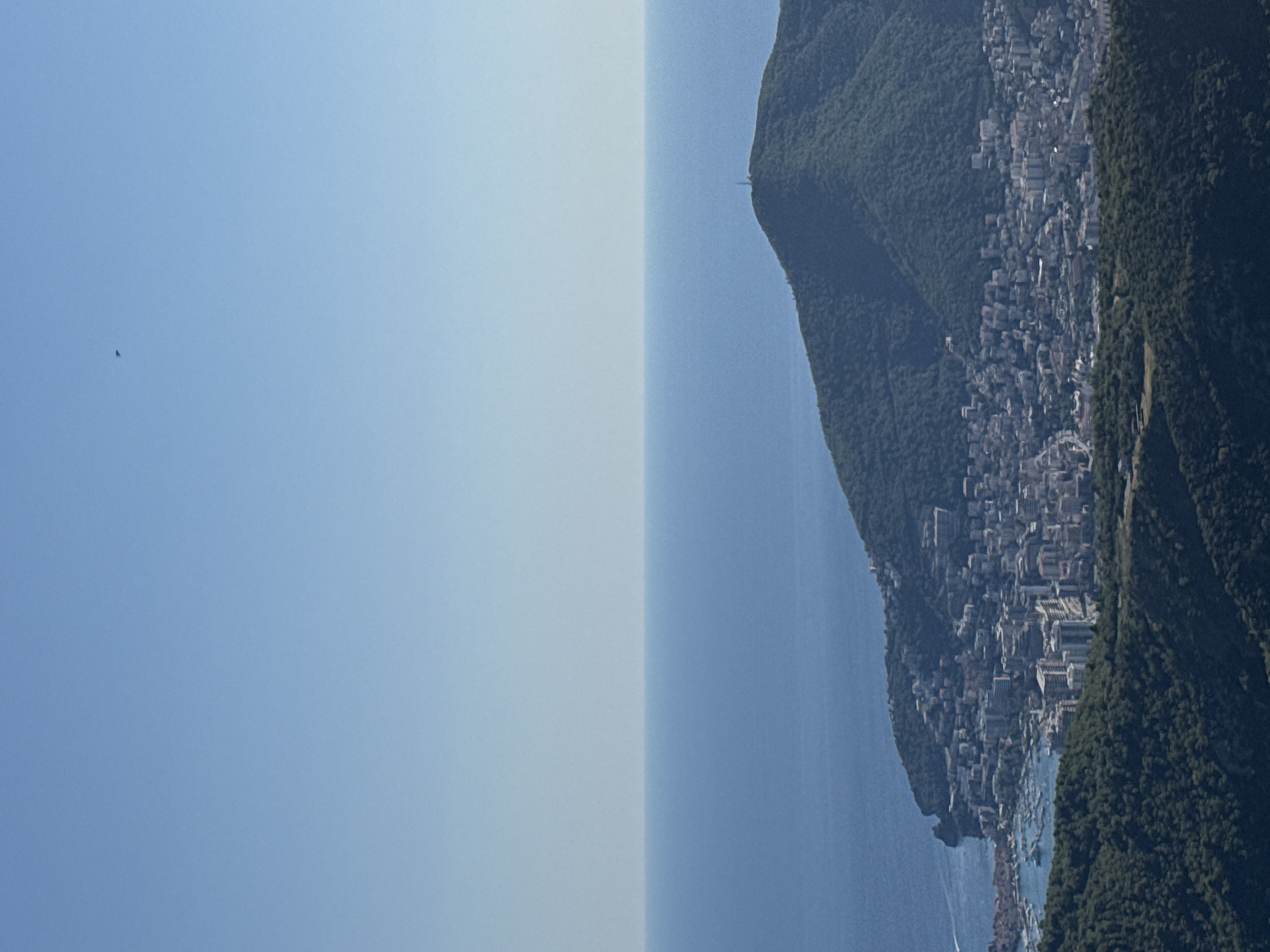 Coastal city views from a scenic mountain overlook