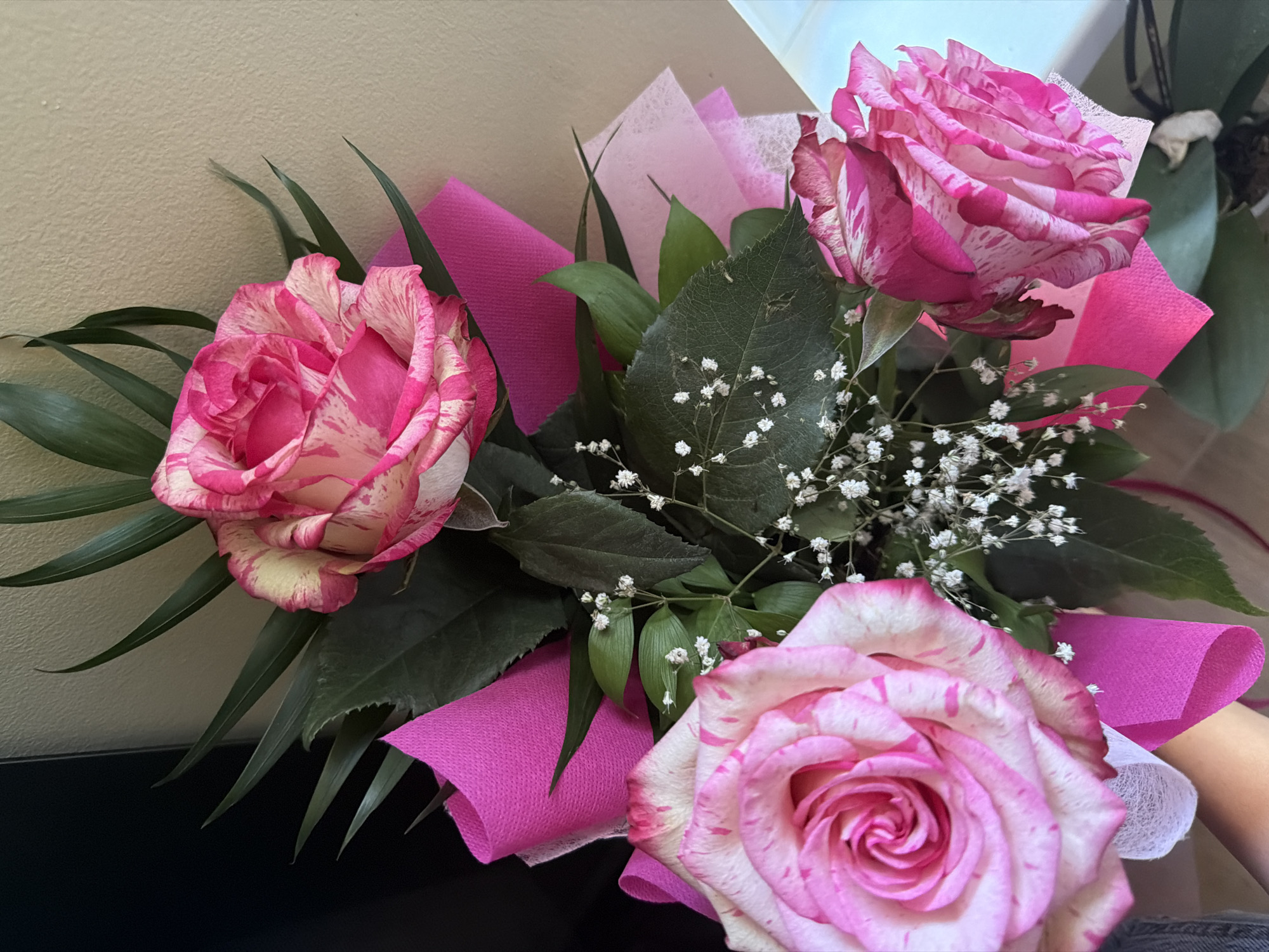Pink-white striped rose bouquet photographed in Varna, Bulgaria