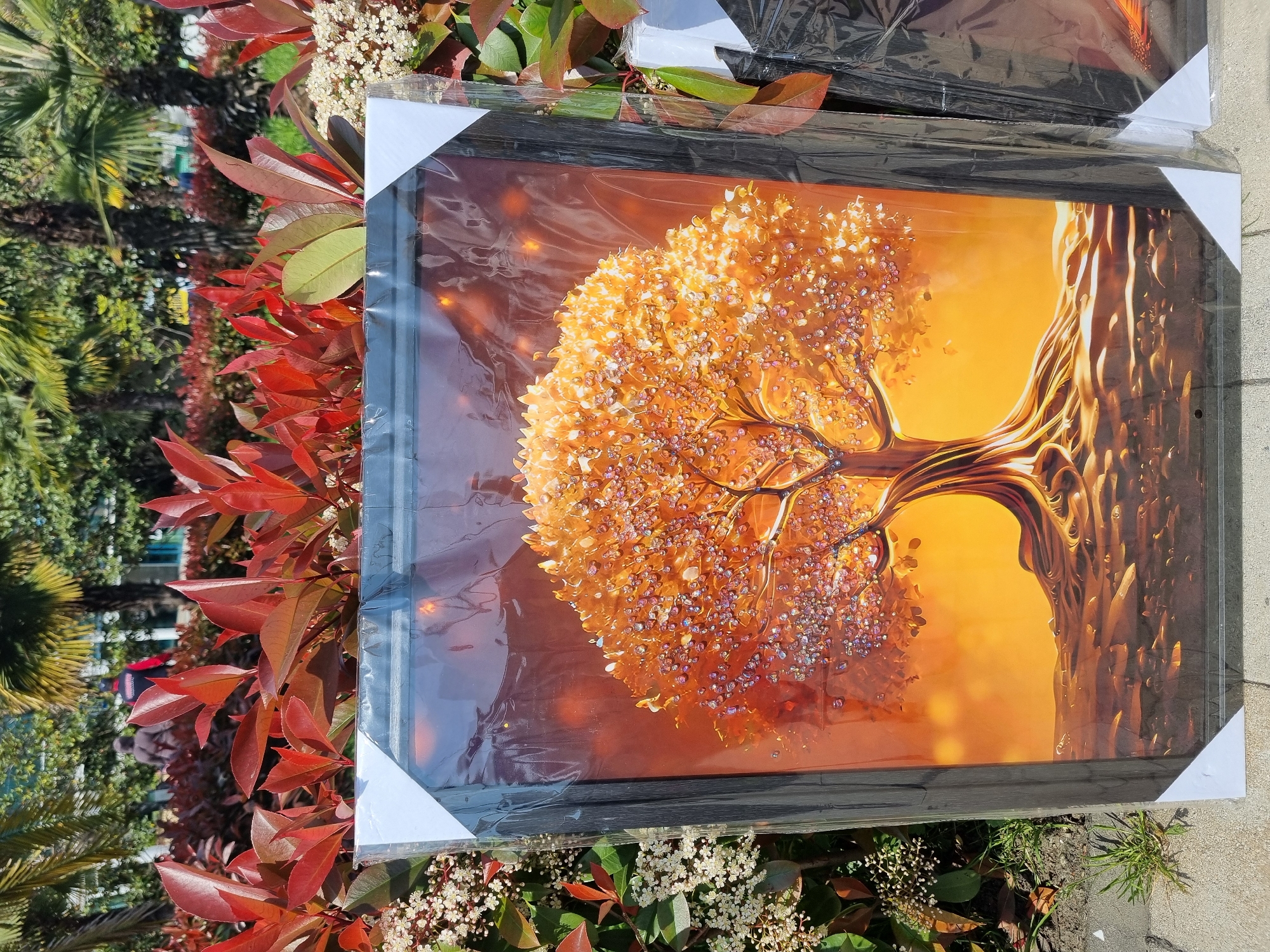 Morning scenes captured in Sochi: golden tree art, welcome sign