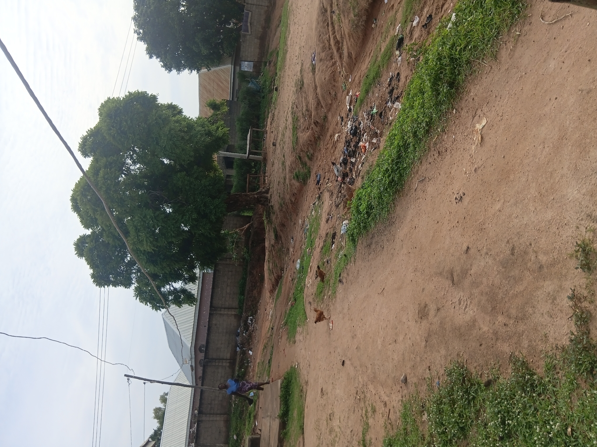 Morning daily life documented across Jalingo, Nigeria residential areas