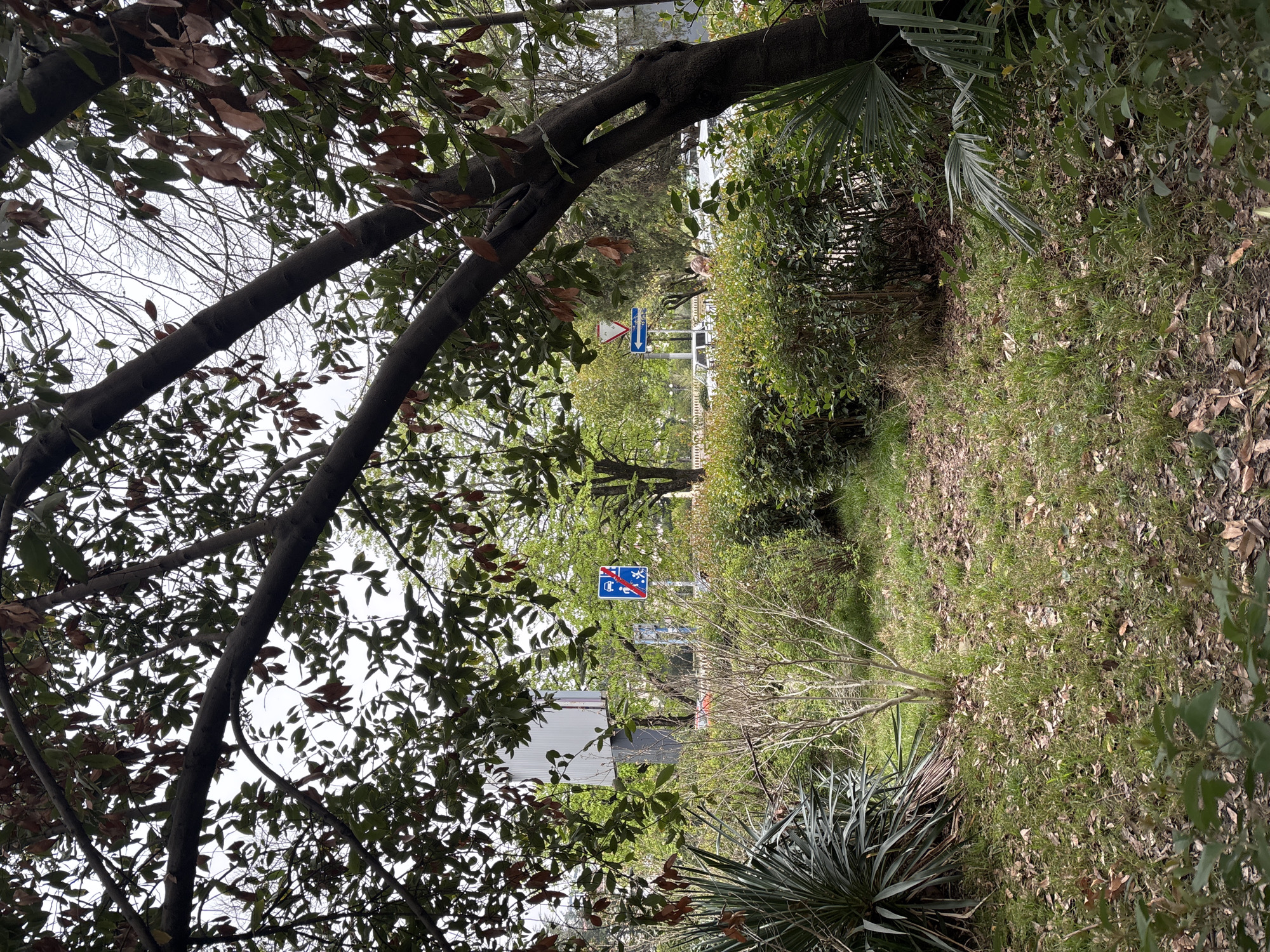 Spring afternoon stroll documented in Sochi public gardens