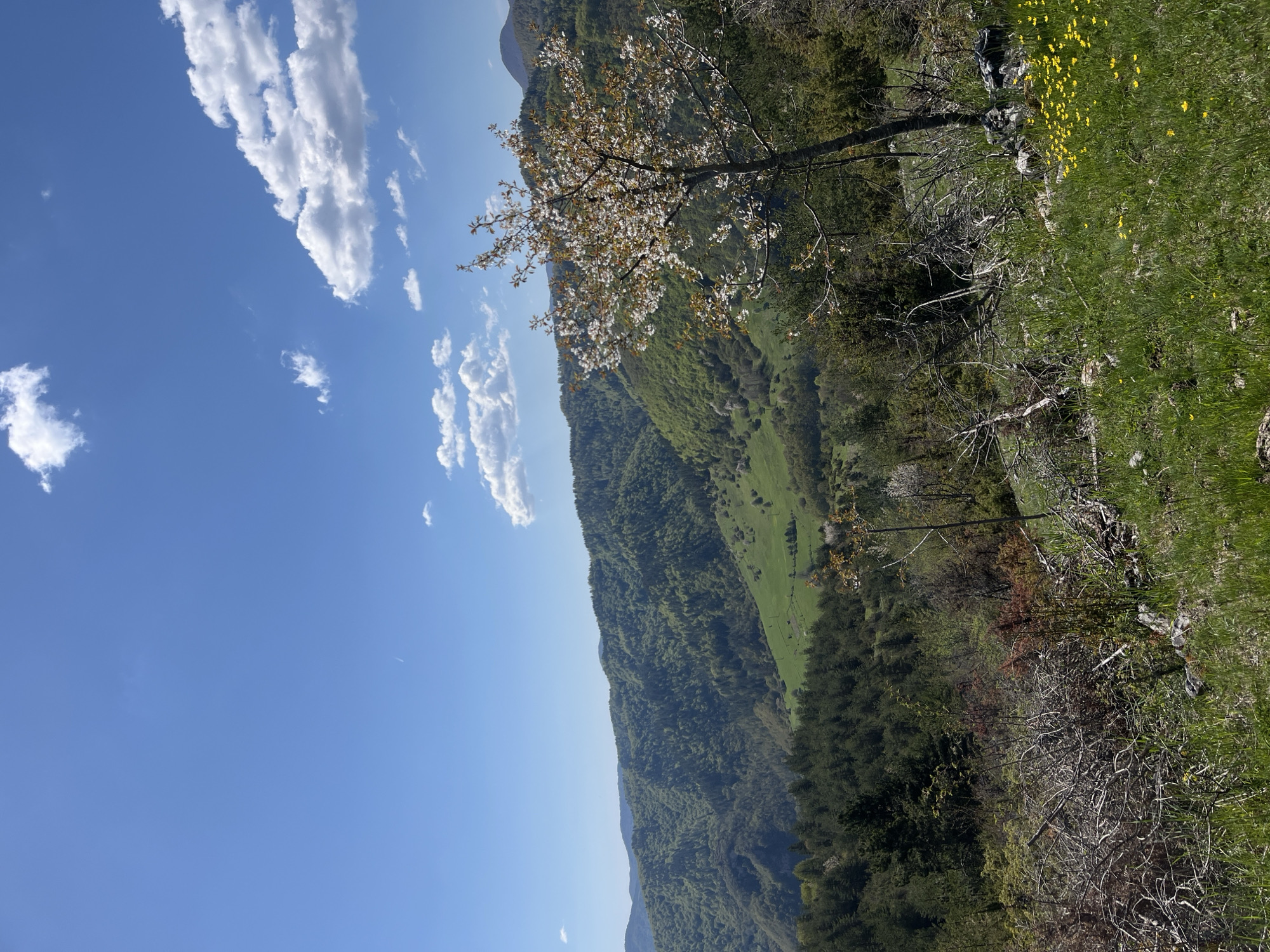 Spring mountain landscape documented near Uhlovitsa, Bulgaria