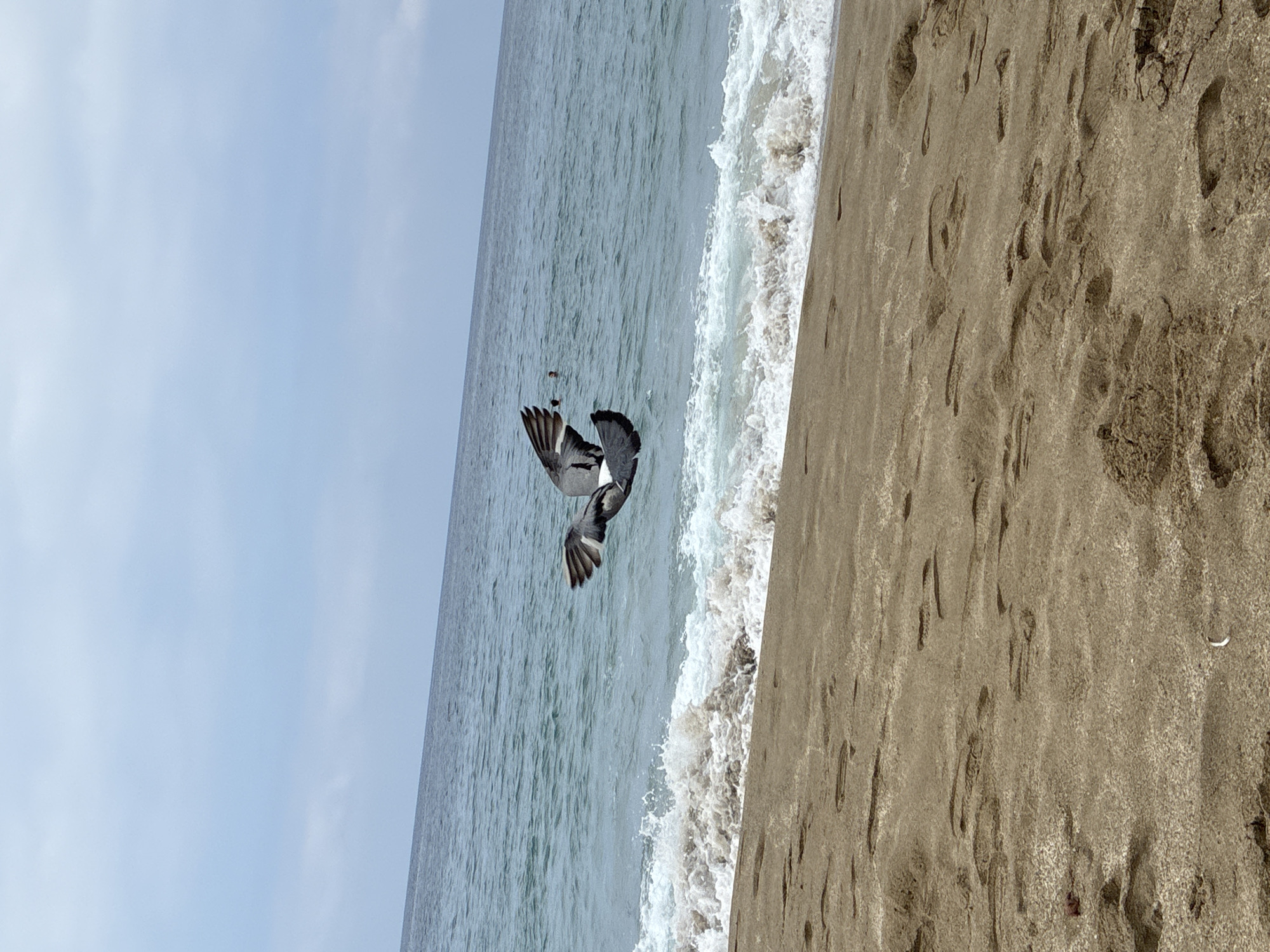 Alanya beach on a cloudy summer morning, waves and crowds