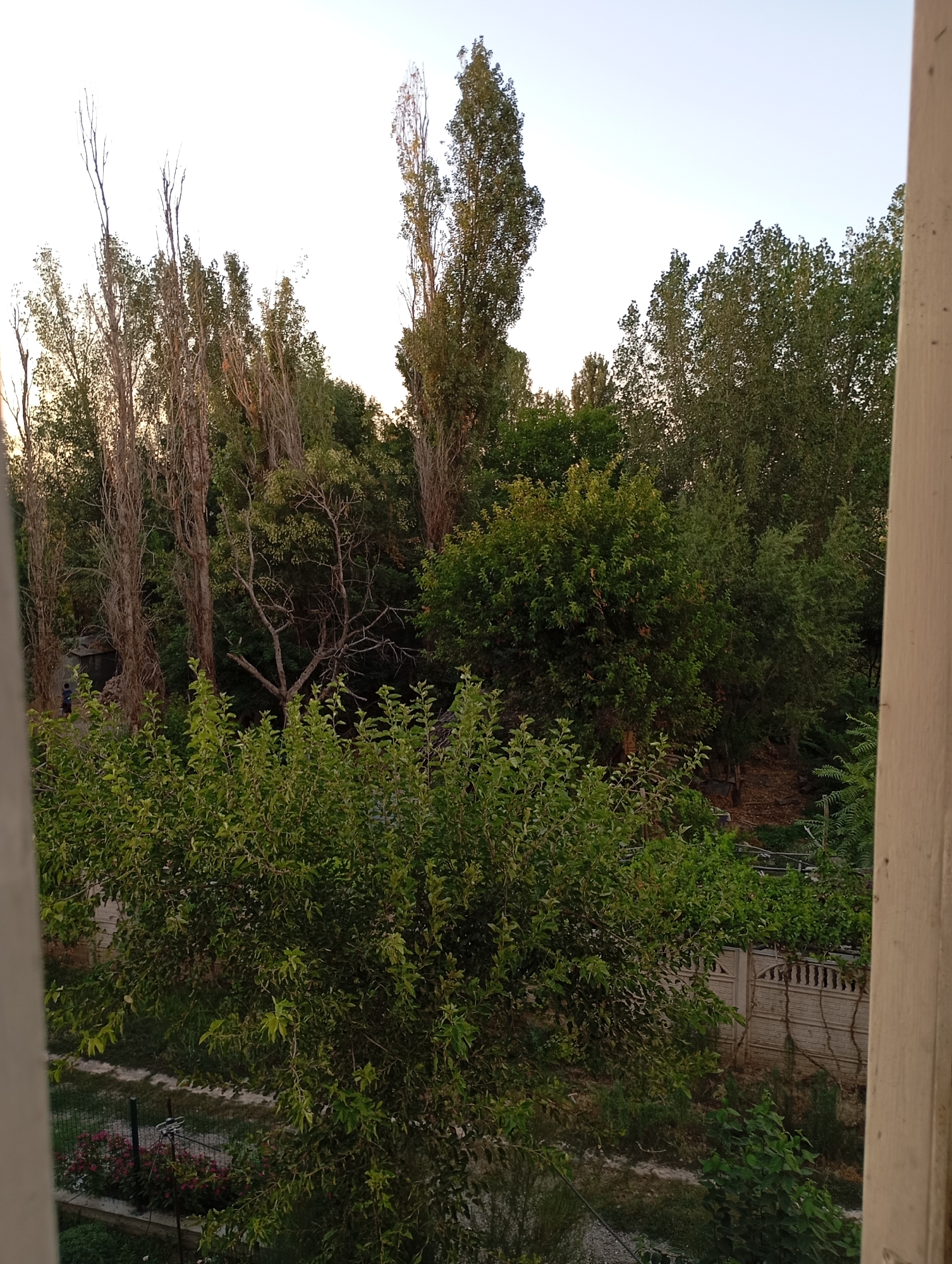 Mirzo Ulugbek, Uzbekistan