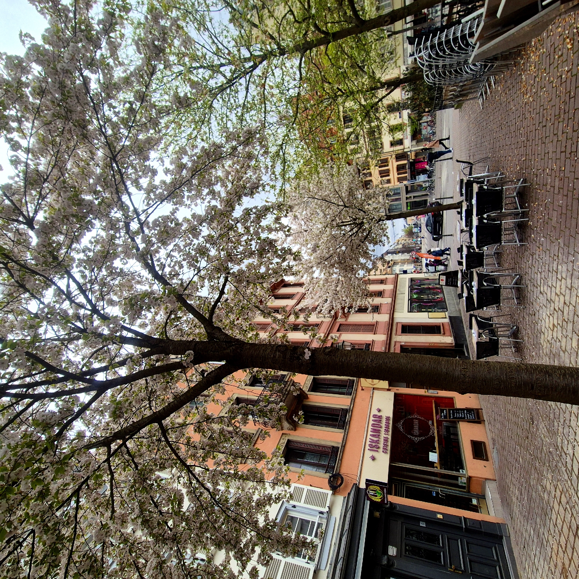 Spring morning walk documented along Strasbourg canals and streets