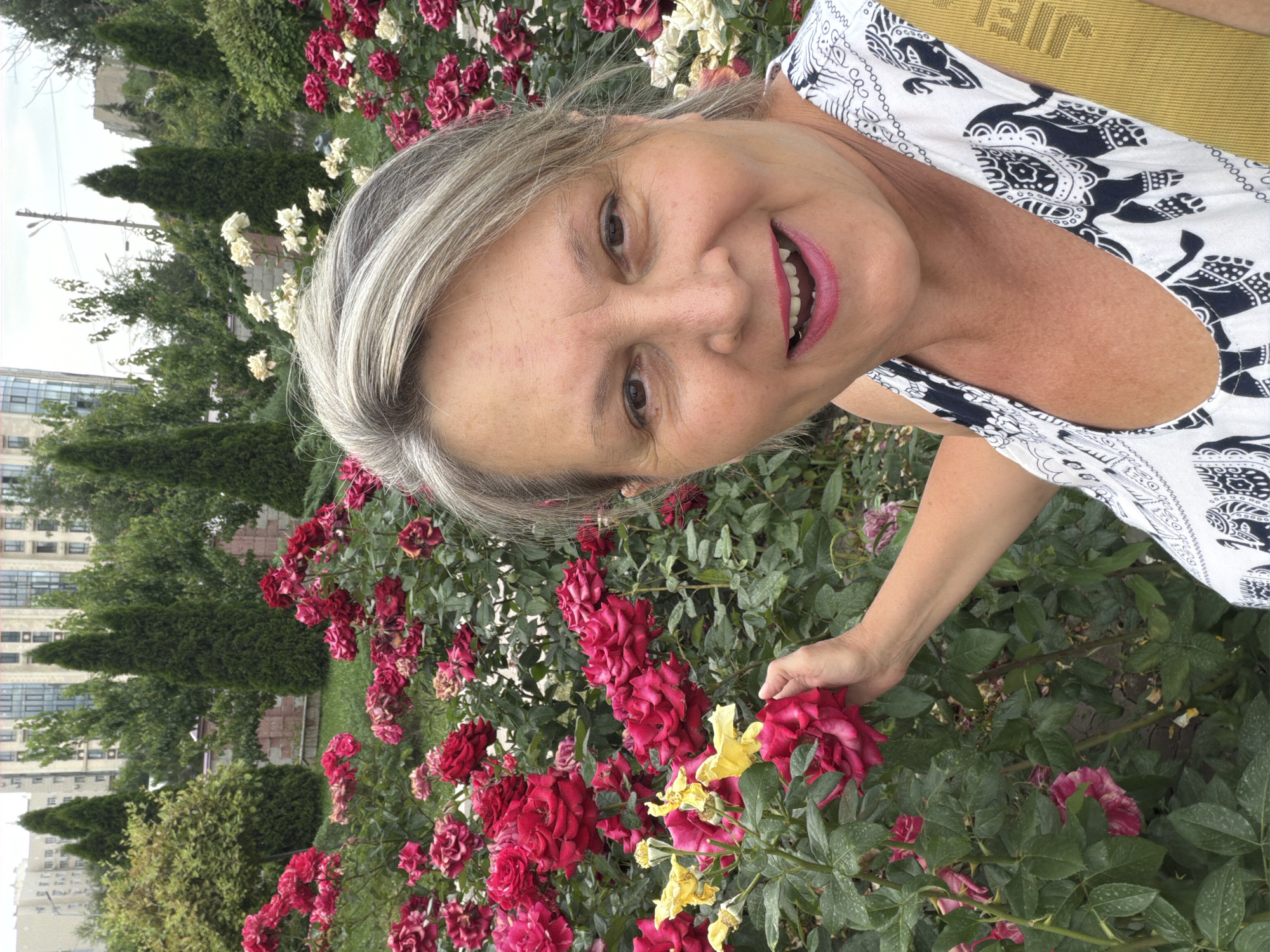 Rose portrait sessions and gate painting work
