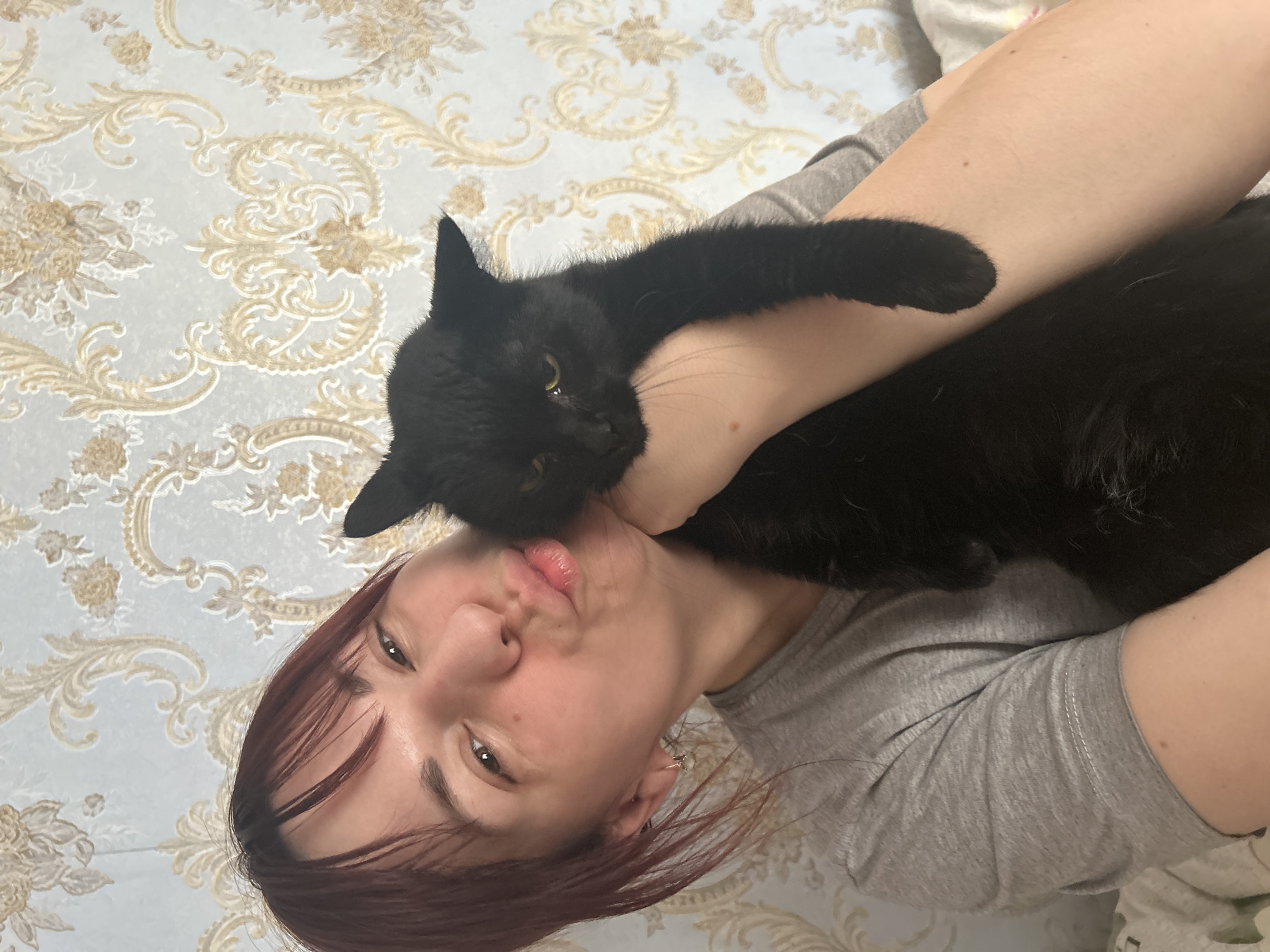Pet moments captured in Фоки: cat selfie, dog close-up