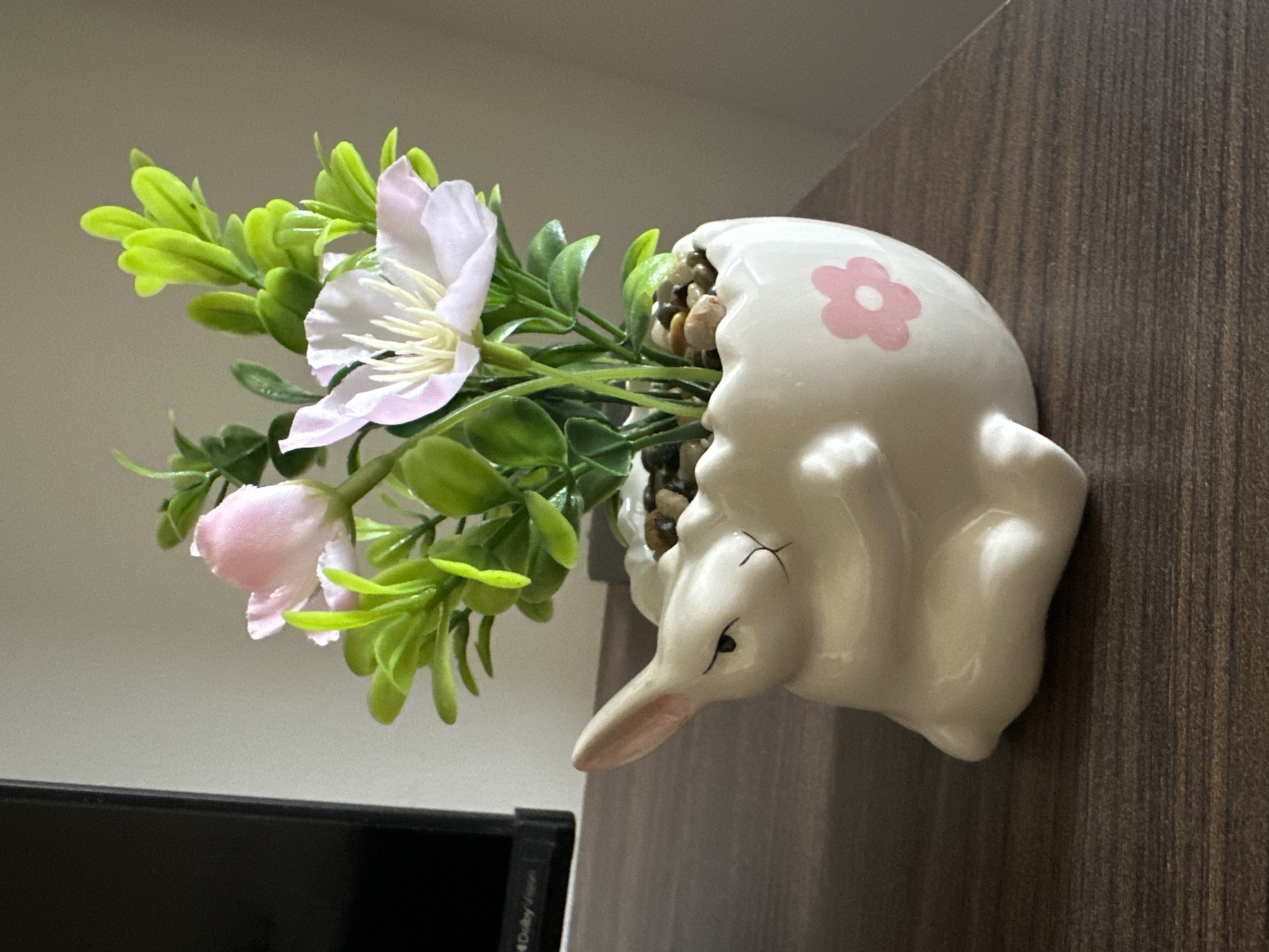 Plovdiv witnesses document elephant planter, cloudy parking lot scenes