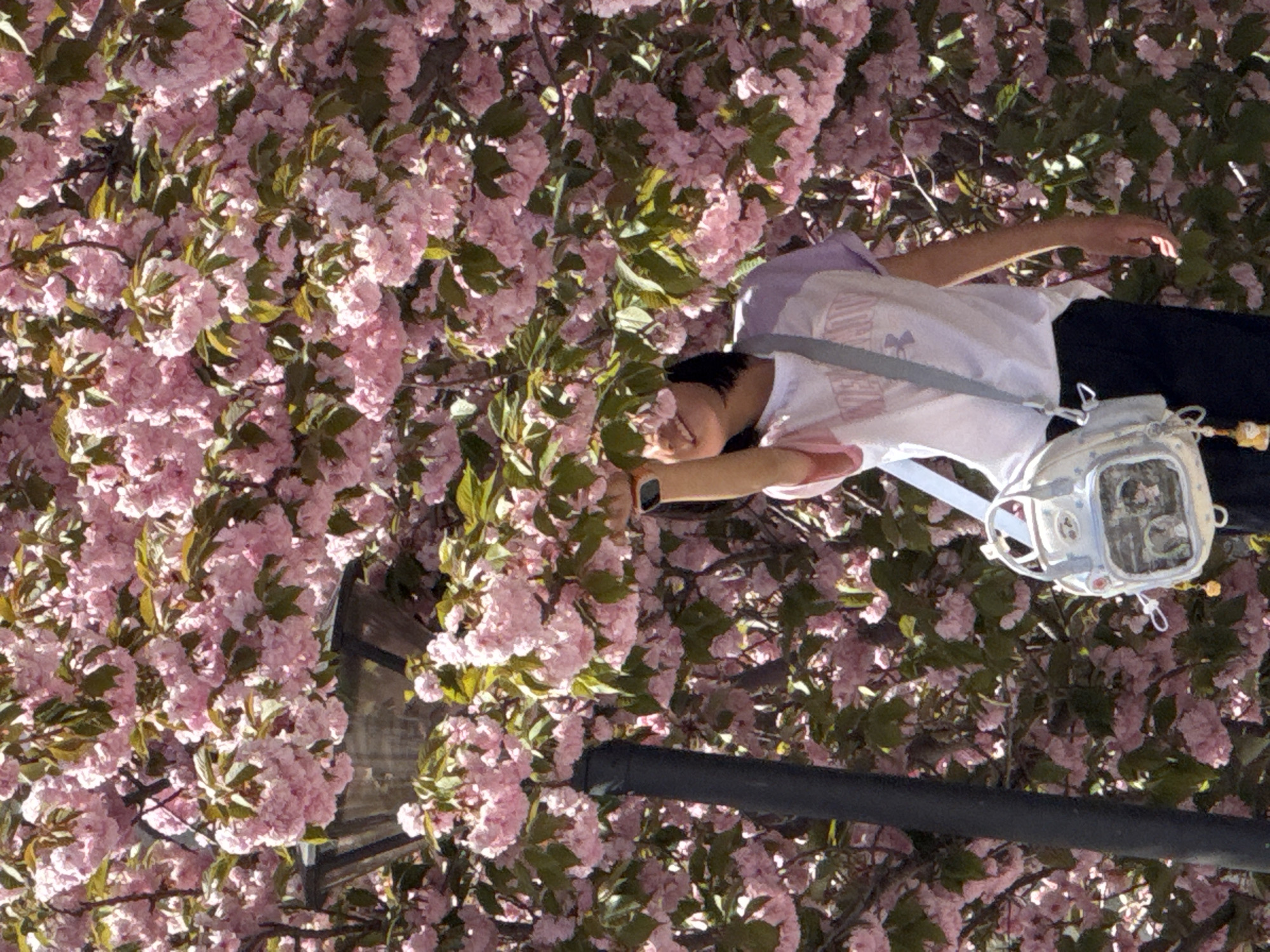 Spring morning activities documented in blooming Zhongtun, China