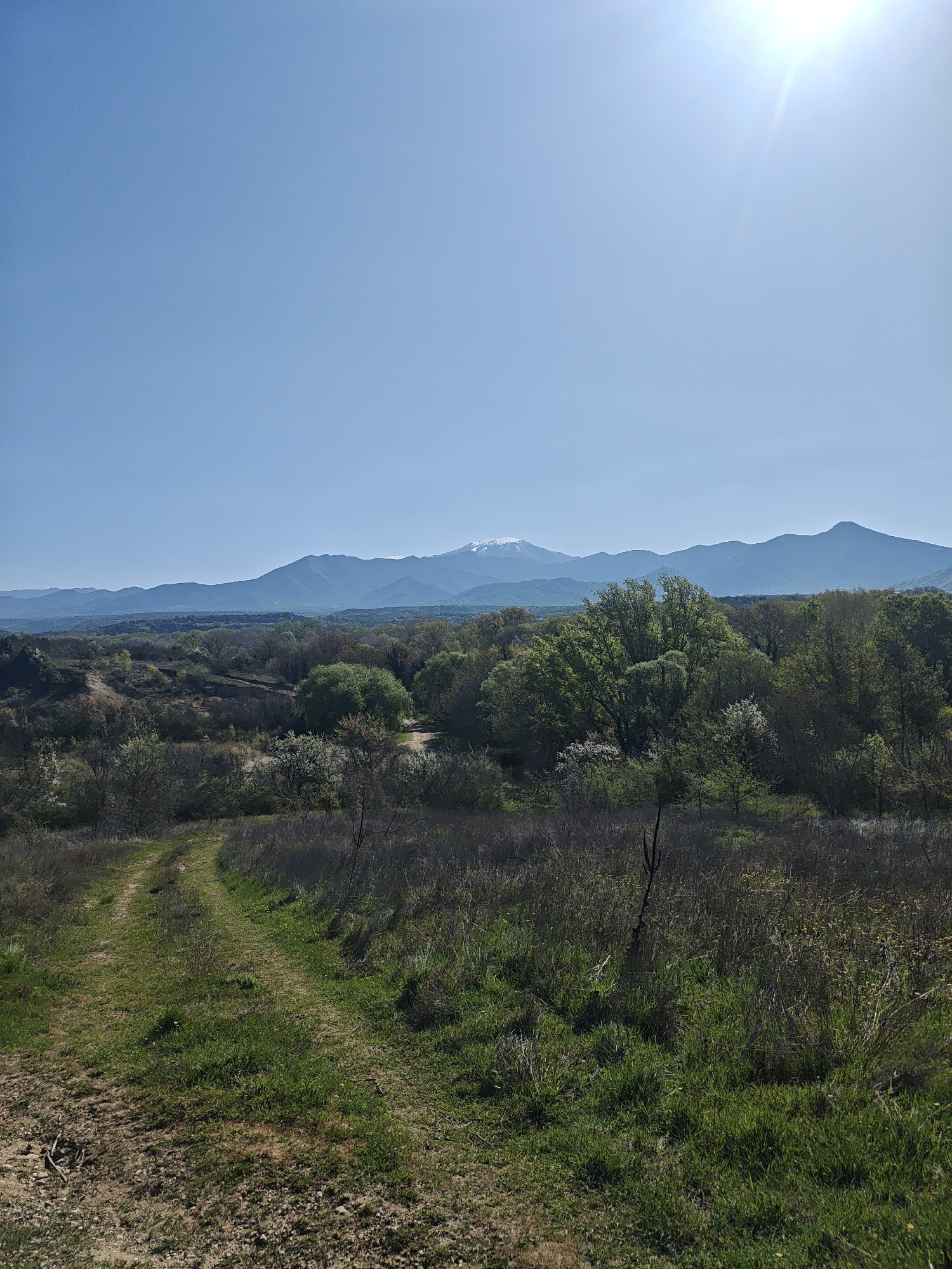 Morning landscapes captured across rural hills and suburban neighborhoods