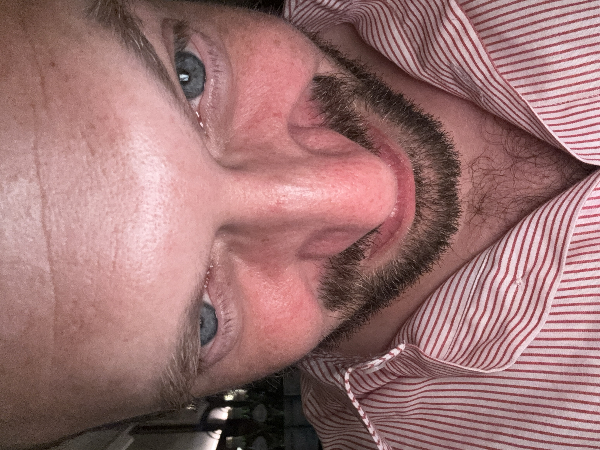 Evening dinner at a Milan restaurant, July 2026