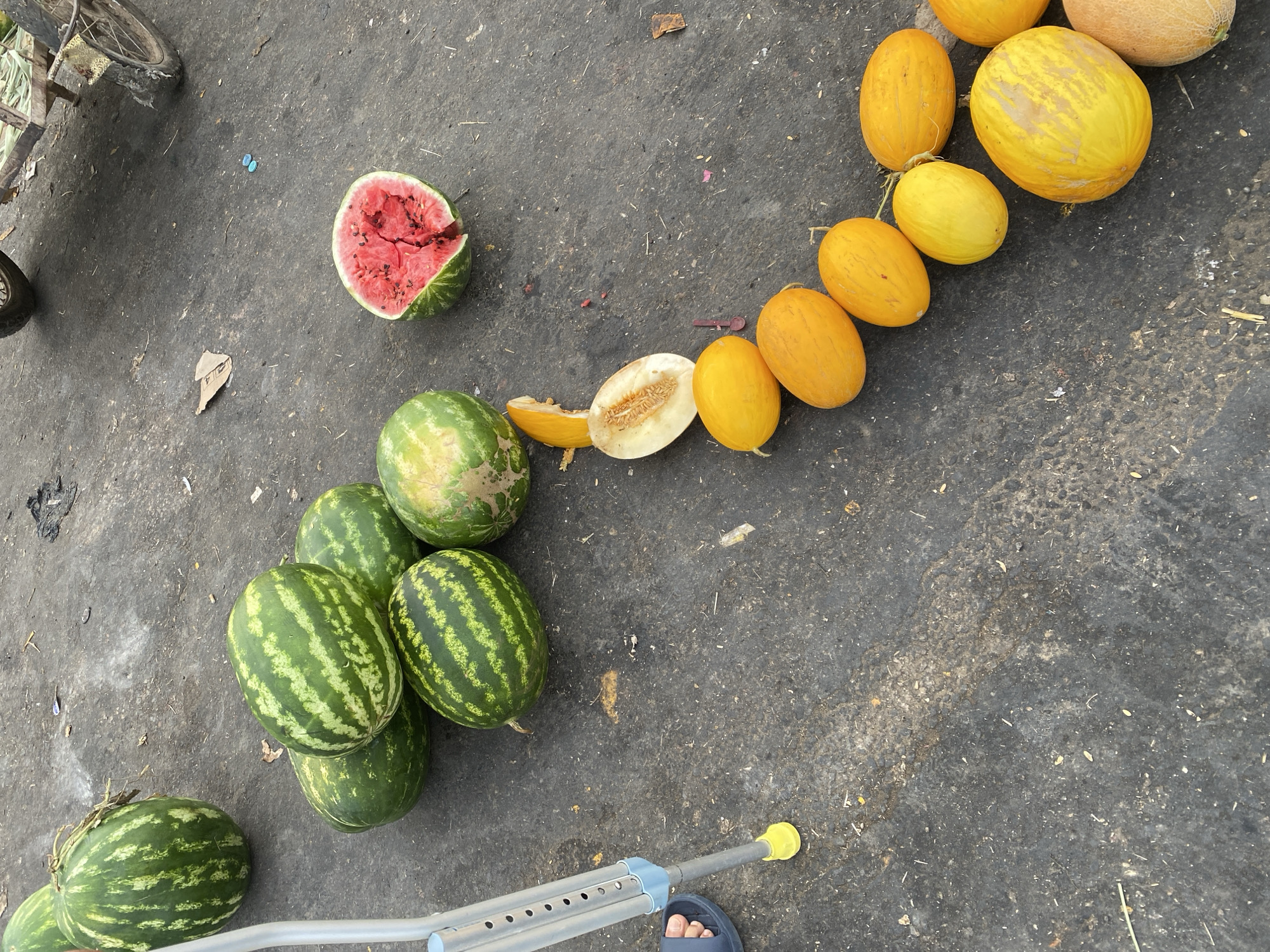 Street produce market bustling with melons and pumpkins in Bougara
