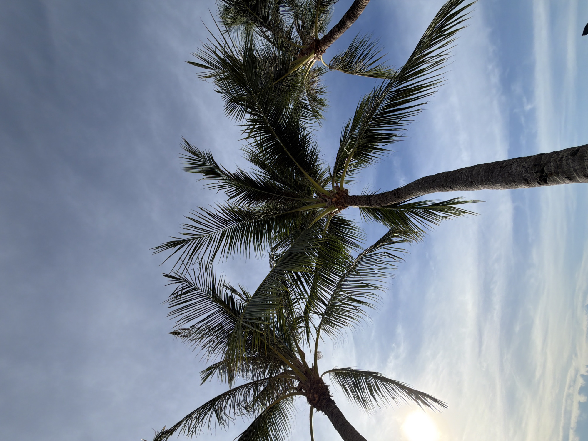 Beach resort mornings and market runs in Baan Bo Phut