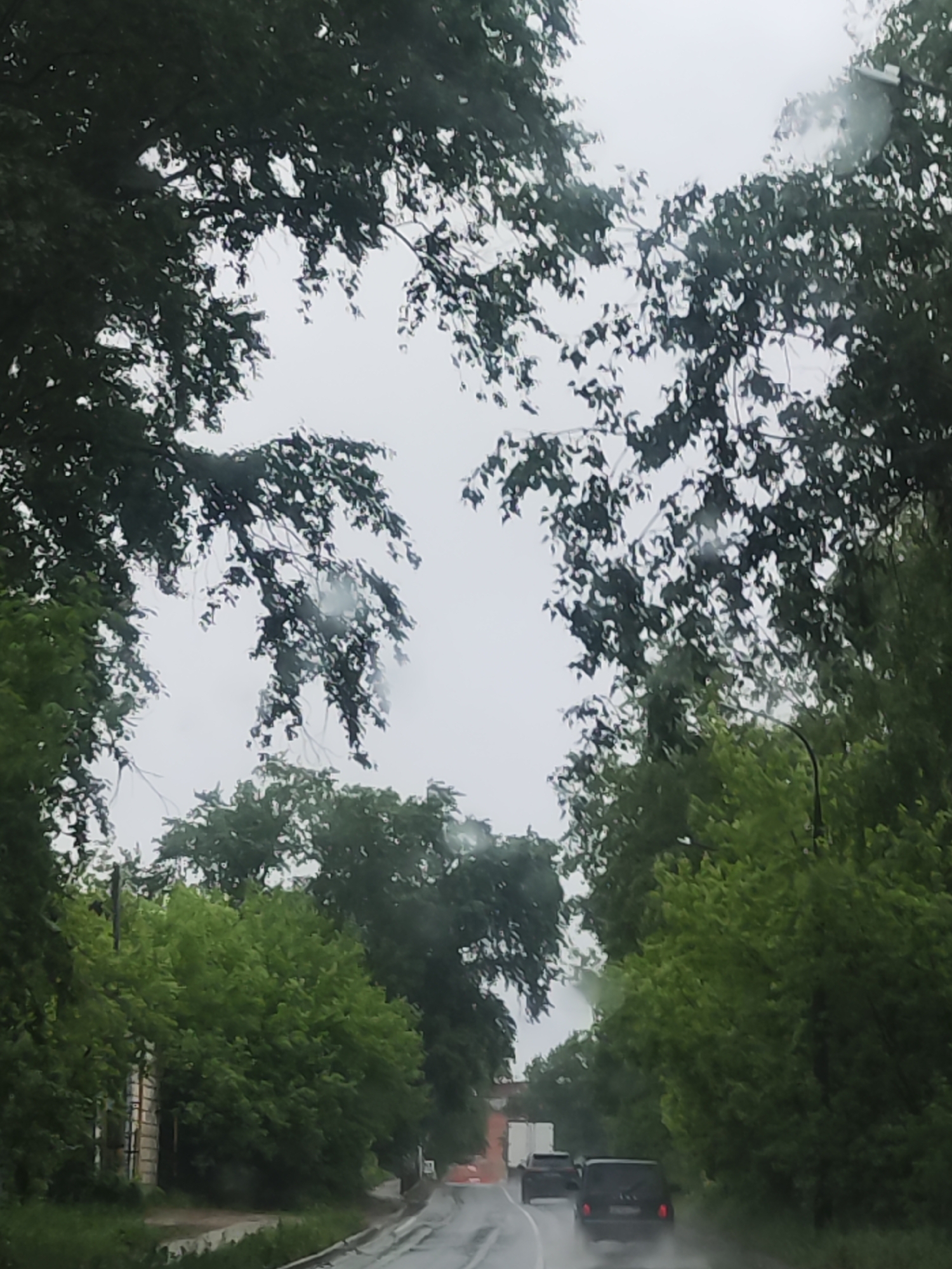 Morning rainfall documented on residential roads, May 28