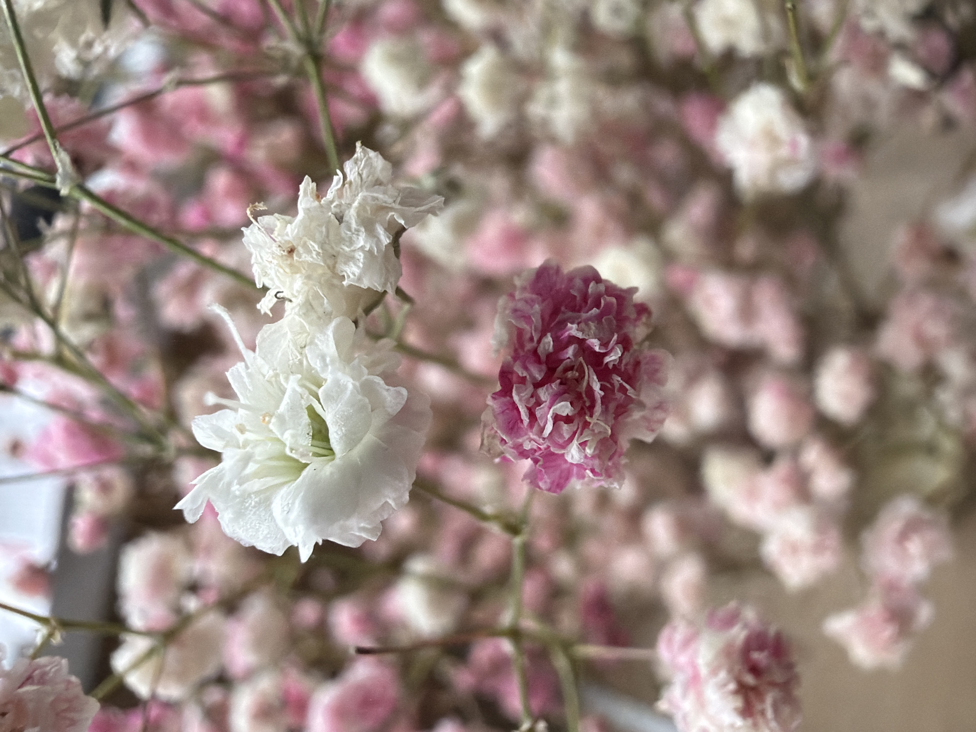 Witness documents floral bouquet in Rusalevka, Russia over four minutes