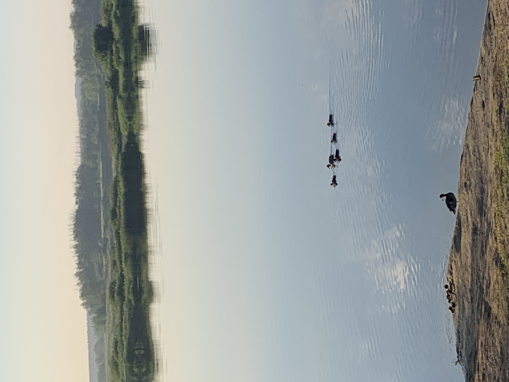 Calm waterside morning near Kostanay, bridge and greenery in view