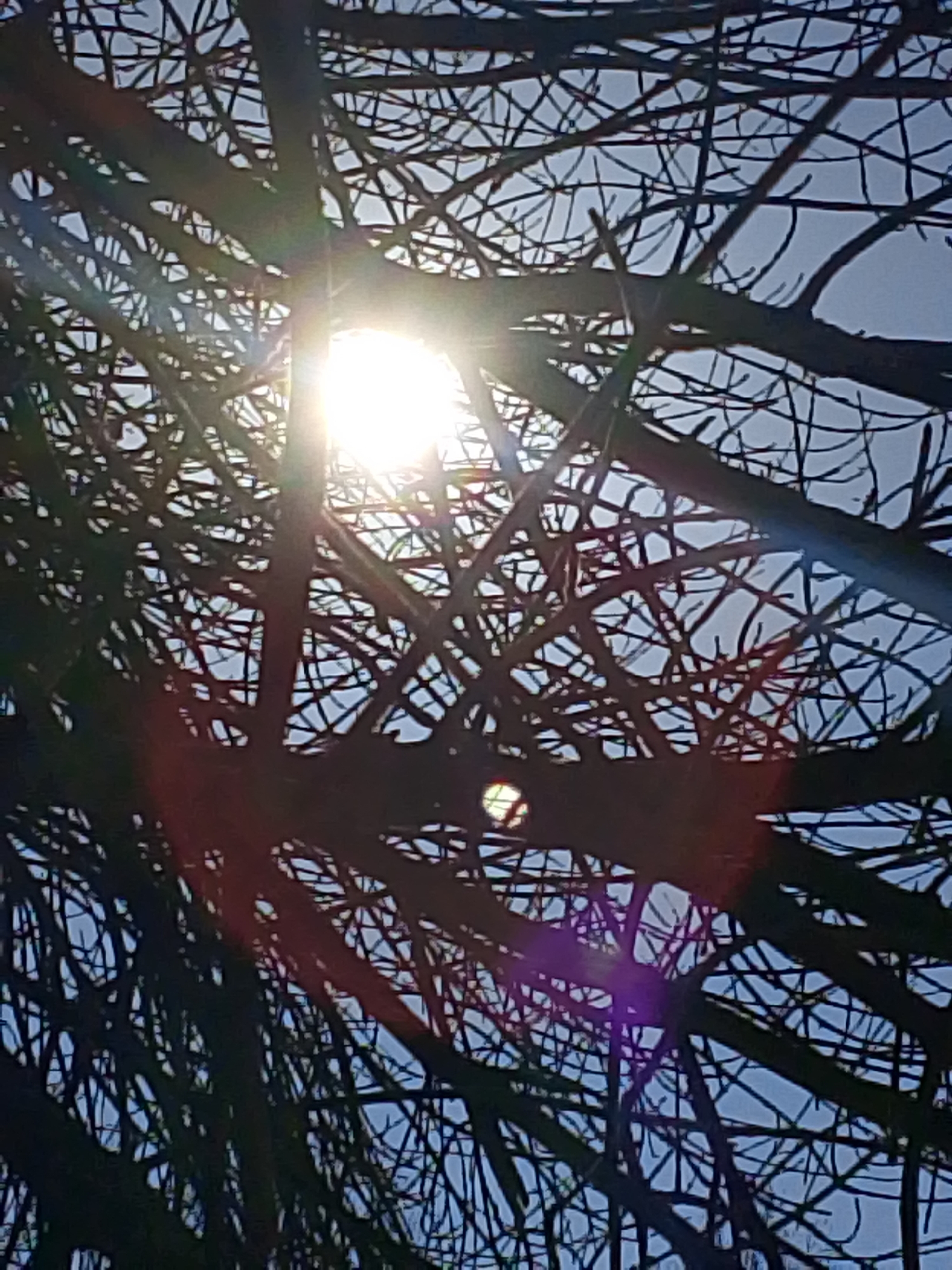 Everyday spring scenes documented across Izhevsk during sunny morning