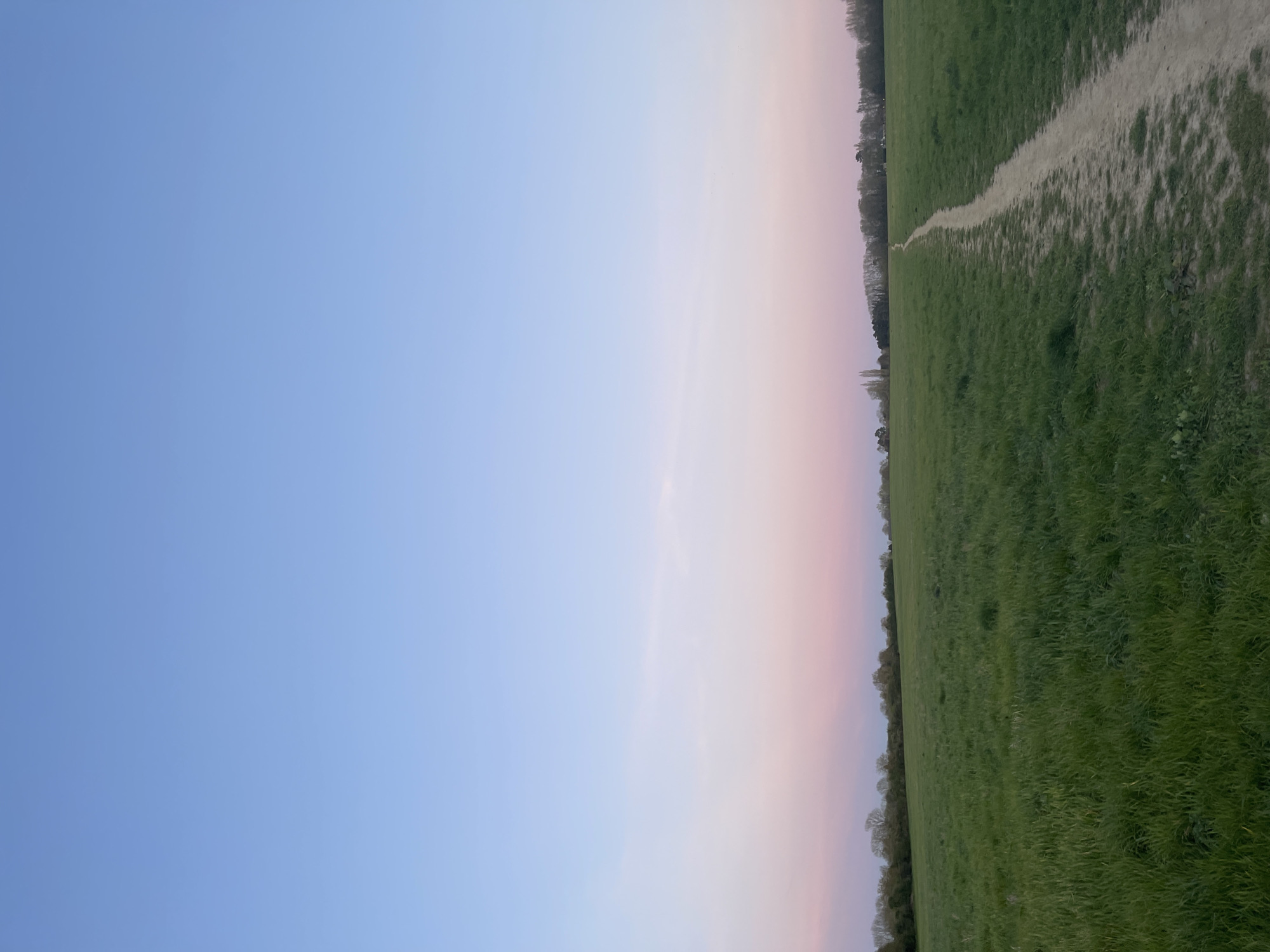 Blanketed horse grazes at sunrise in Maidstone field
