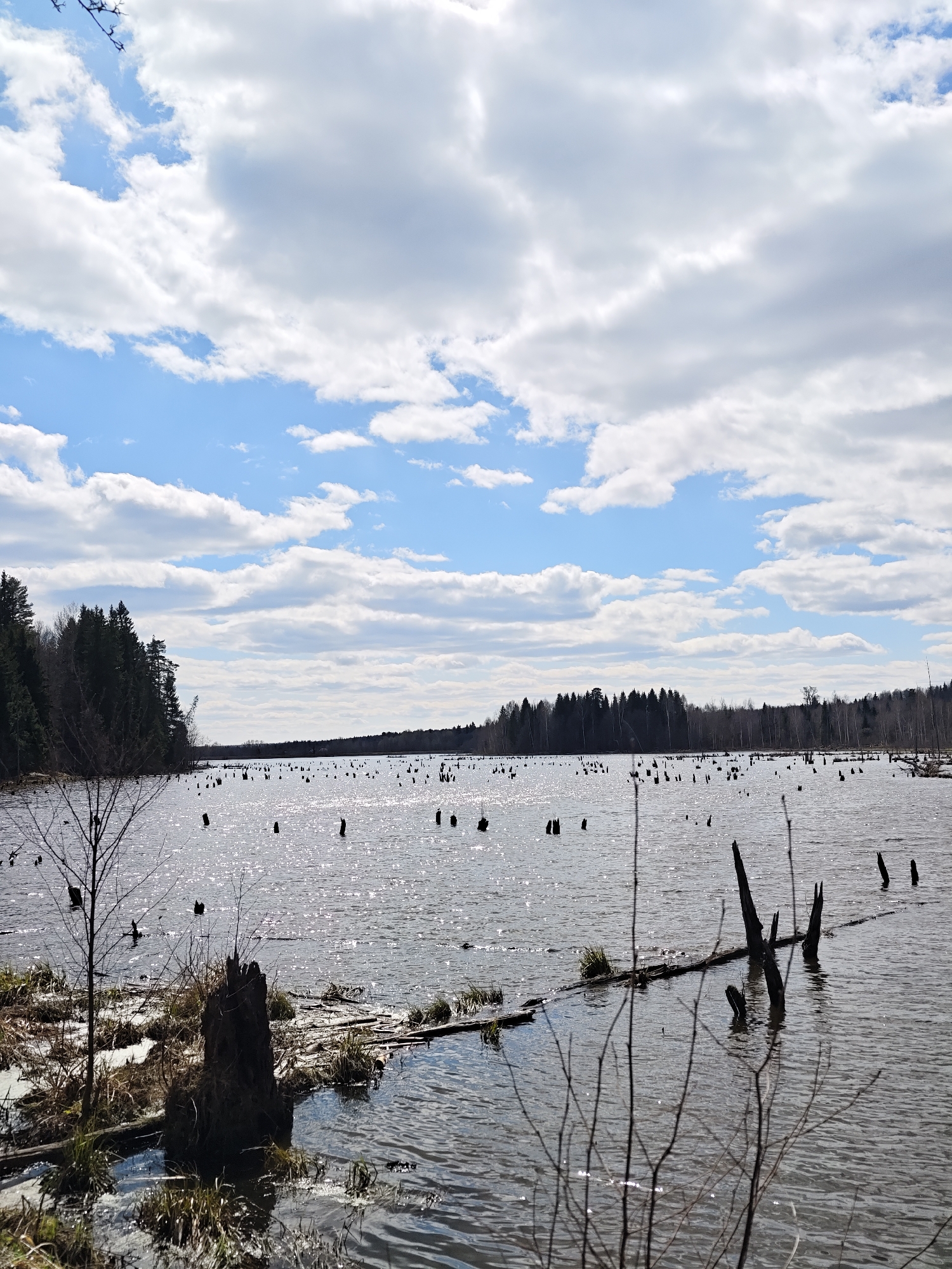 Spring nature walk documented near Ural'skoe, Russia